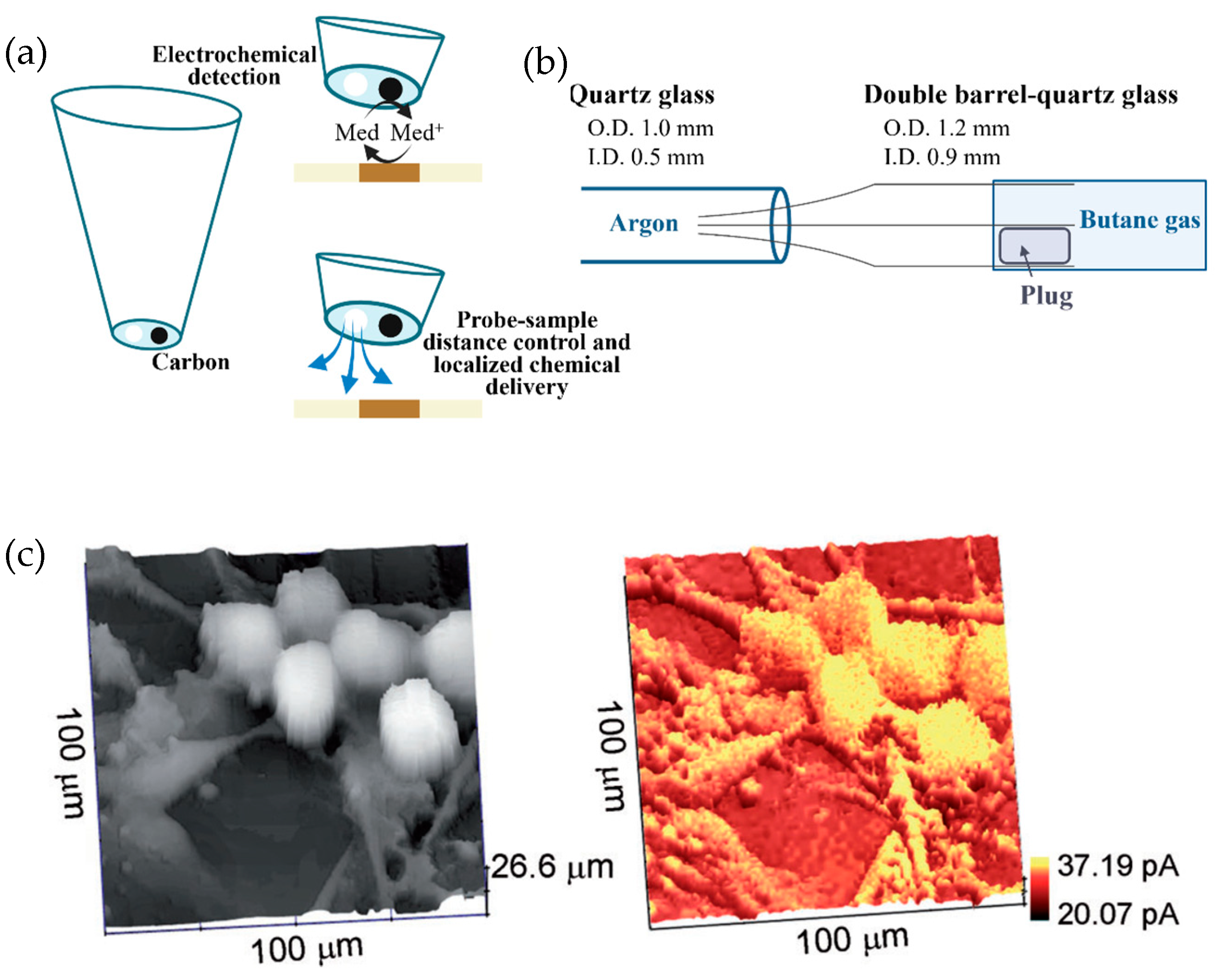 Biosensors 13 00695 g004