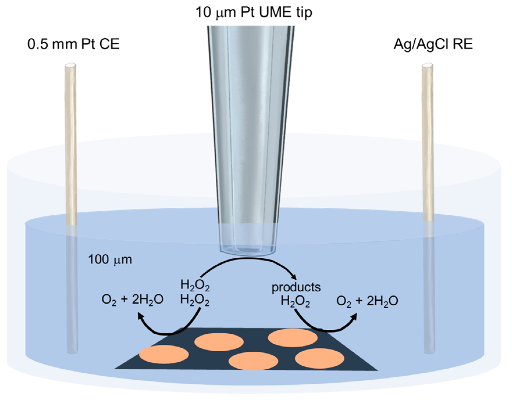 Biosensors 13 00695 g007