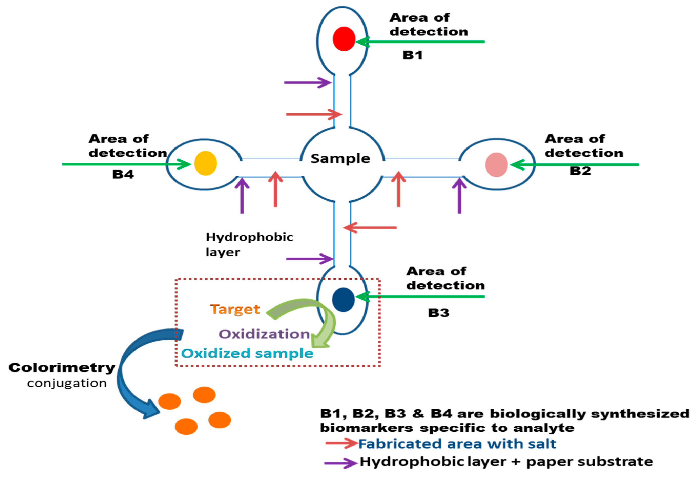 Biosensors 13 00701 g004 Biosensors 13 00701 g004