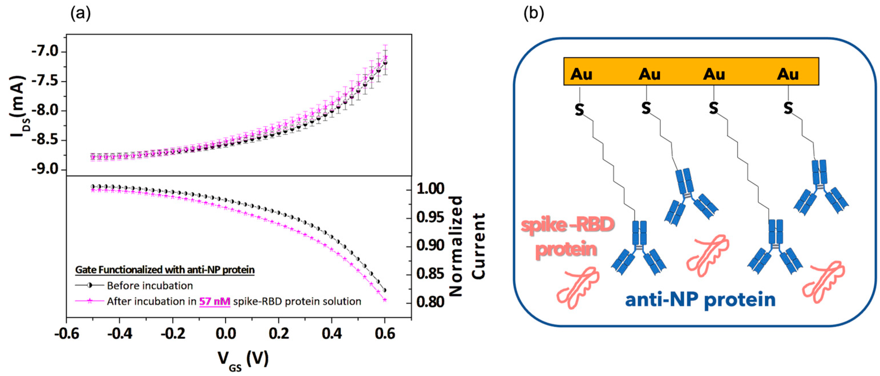 Biosensors 13 00739 g004