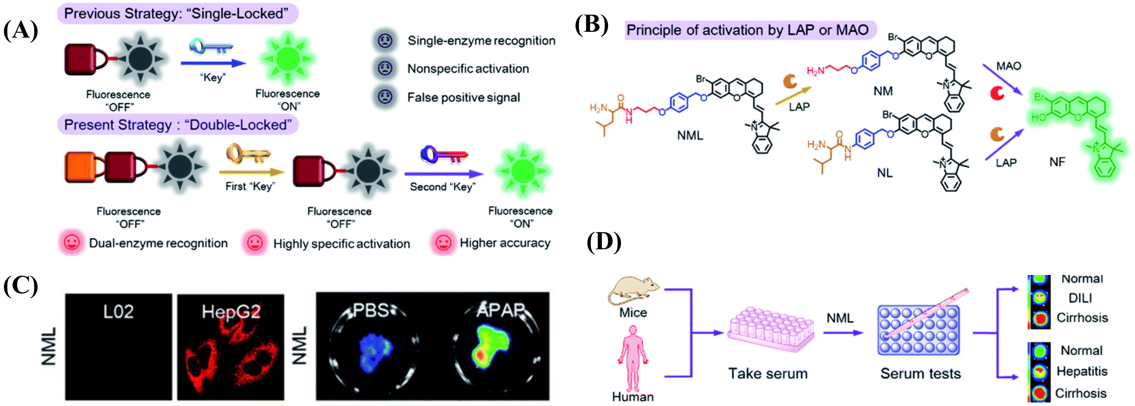 Biosensors 13 00752 g010