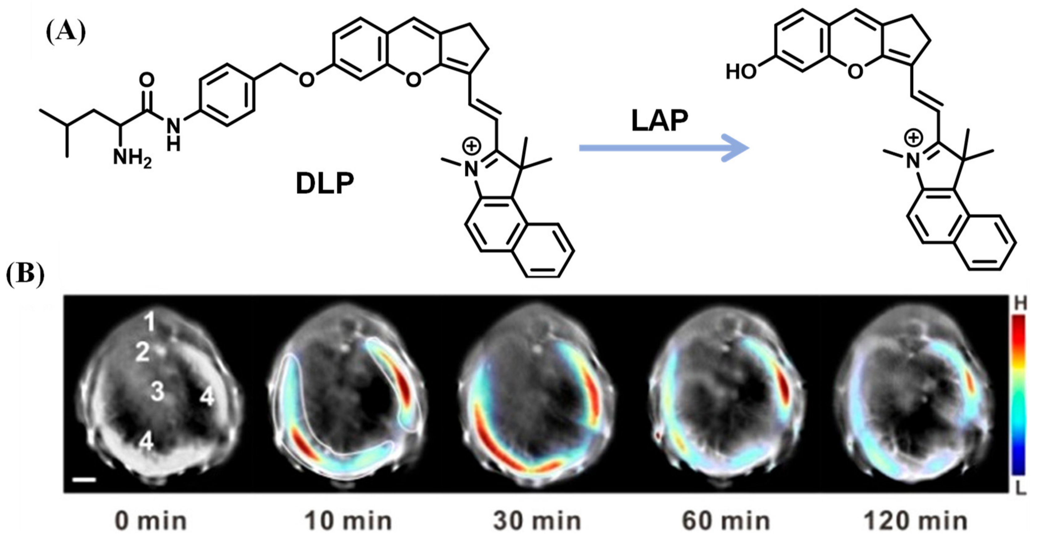 Biosensors 13 00752 g020