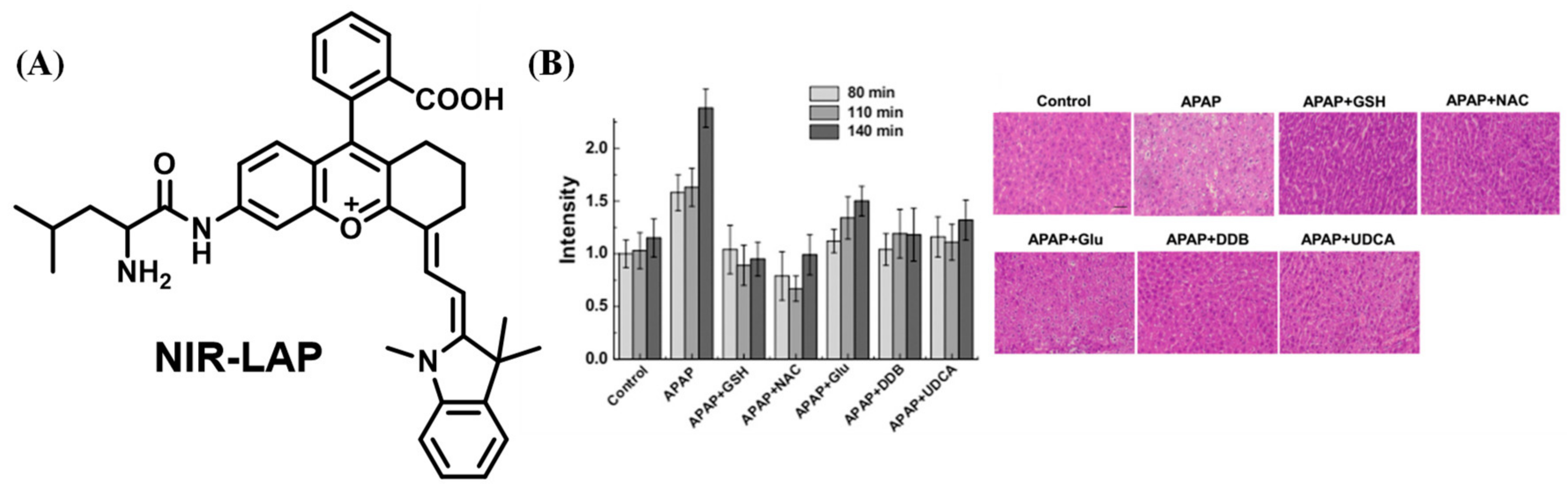 Biosensors 13 00752 g021