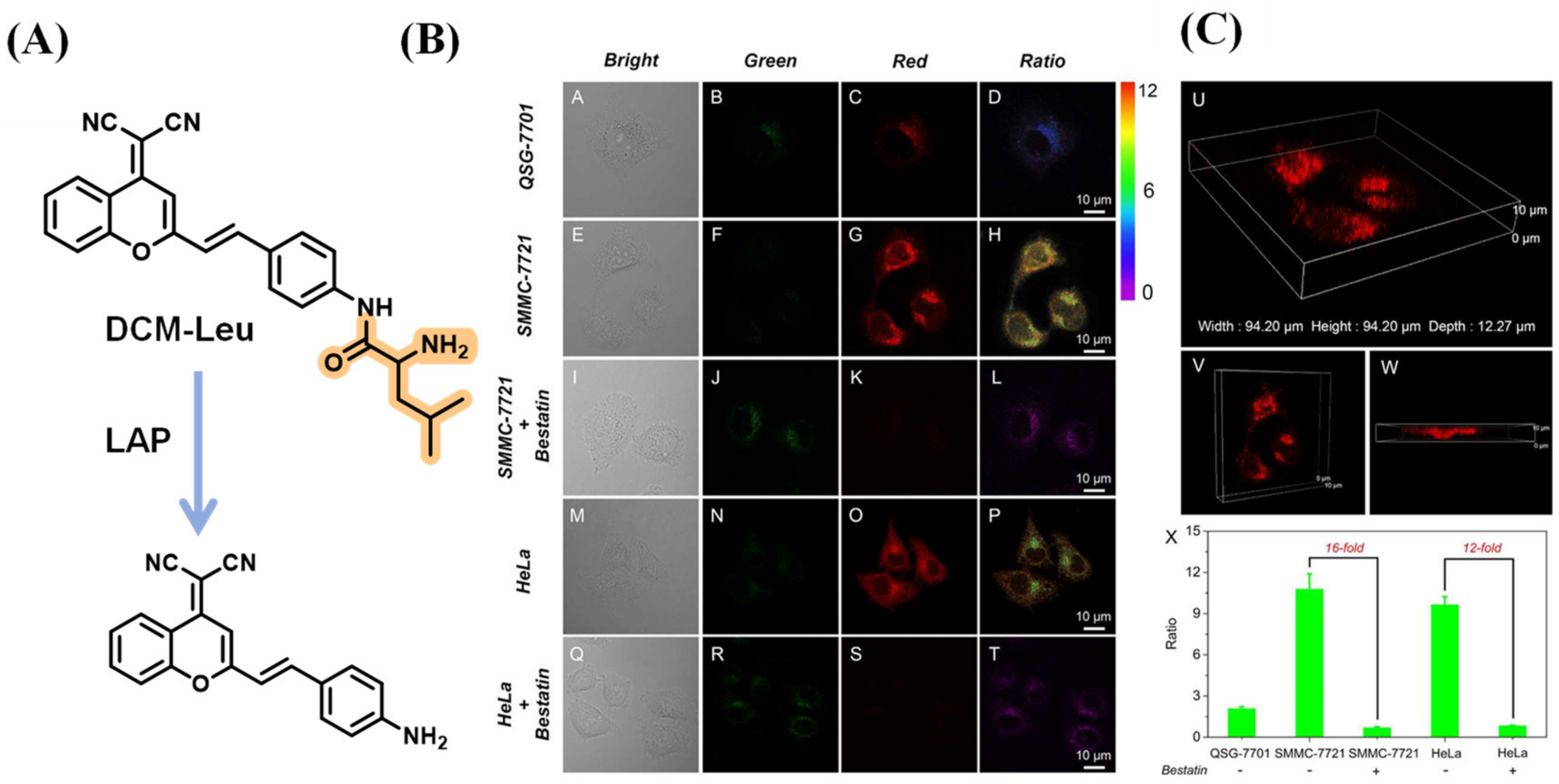 Biosensors 13 00752 g022