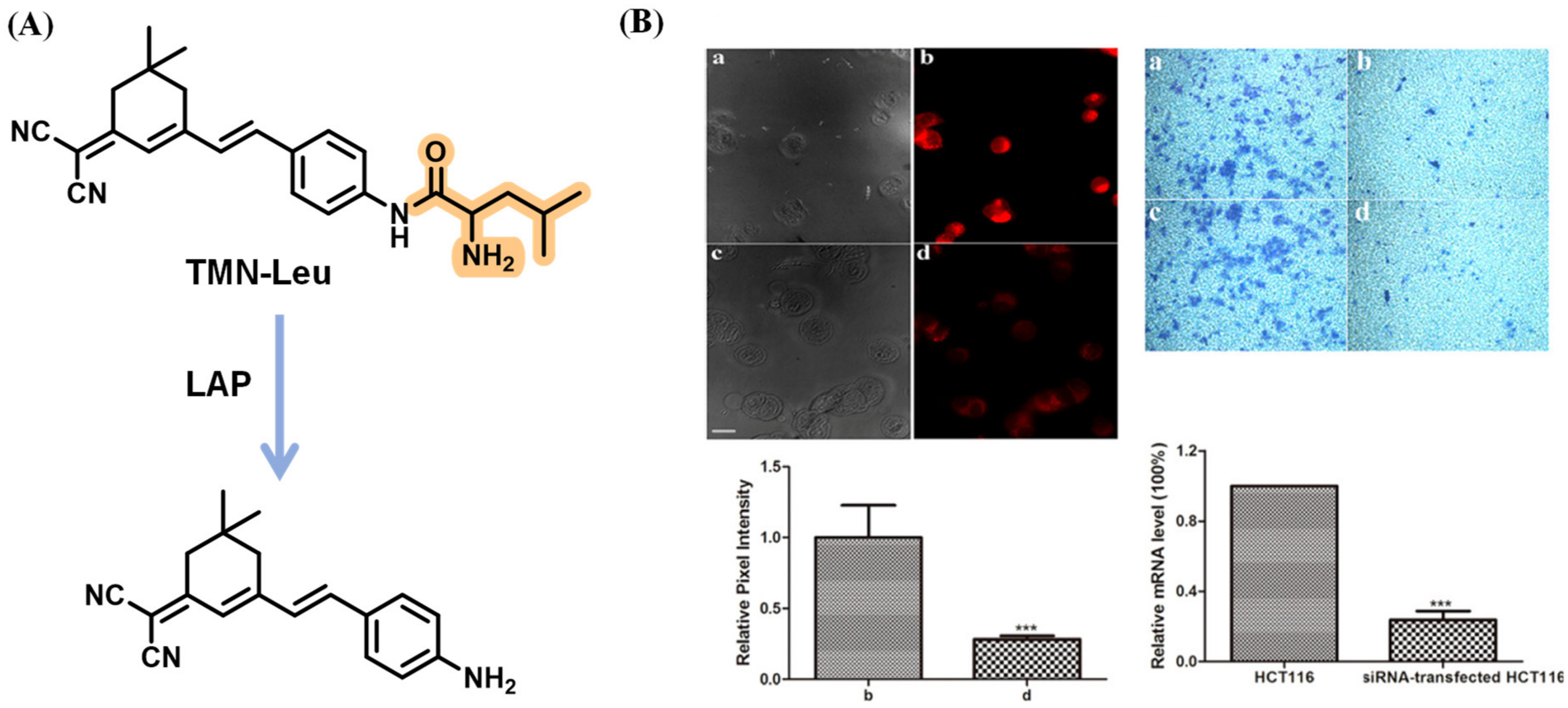 Biosensors 13 00752 g023