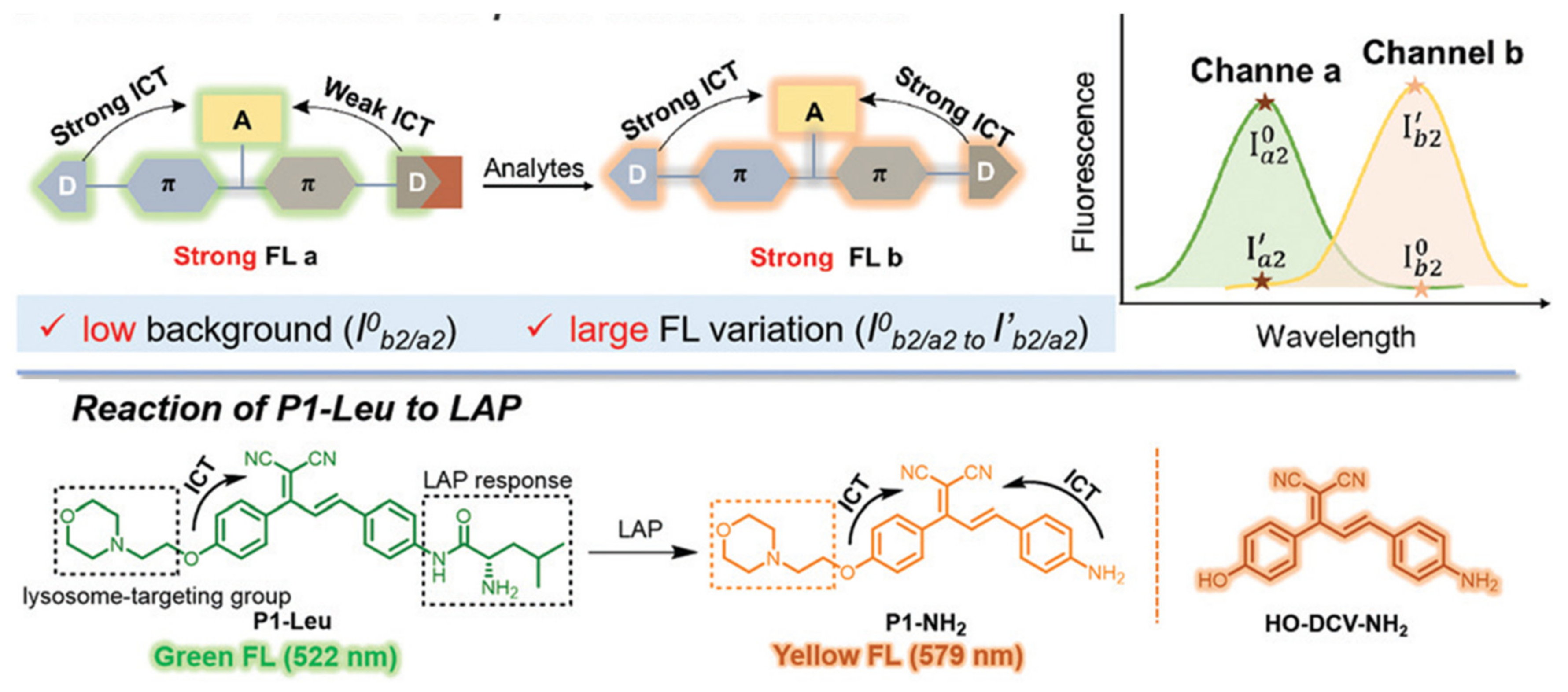 Biosensors 13 00752 g029