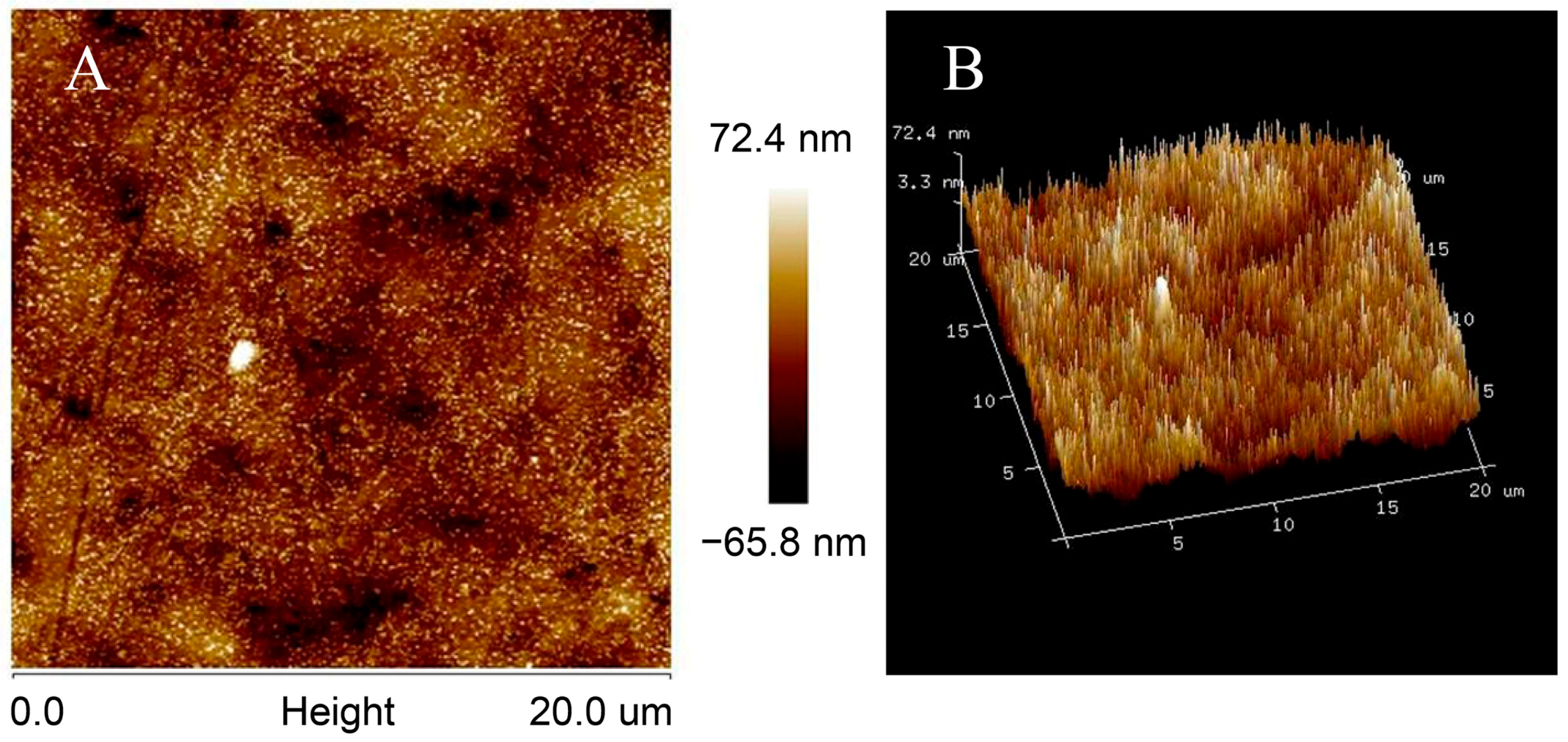 Biosensors 13 00764 g002 Biosensors 13 00764 g002