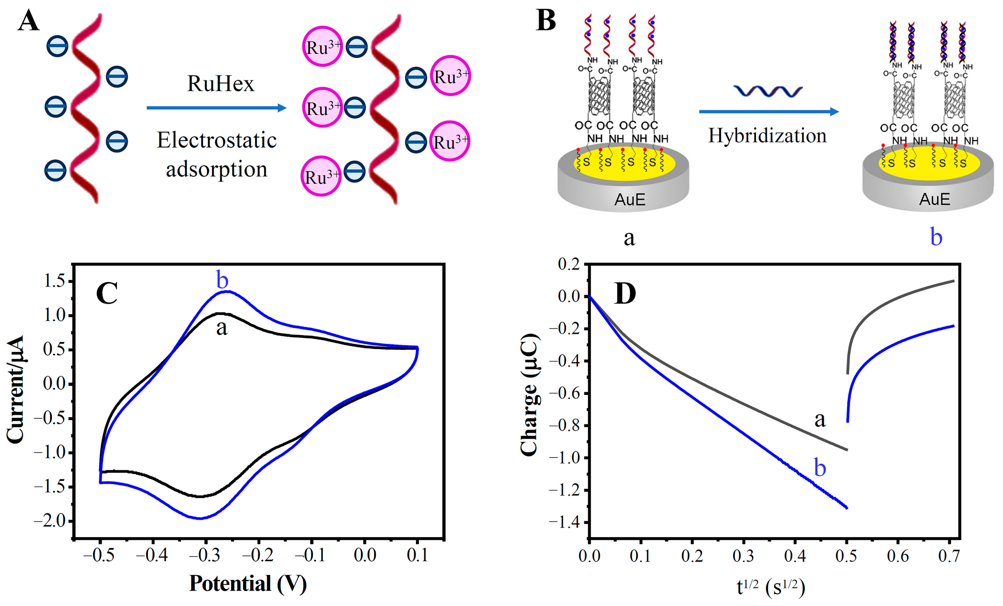 Biosensors 13 00764 g006 Biosensors 13 00764 g006