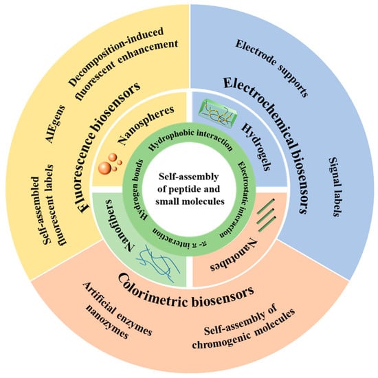 Biosensors | Free Full-Text | Advancements In Biosensors Based On The ...