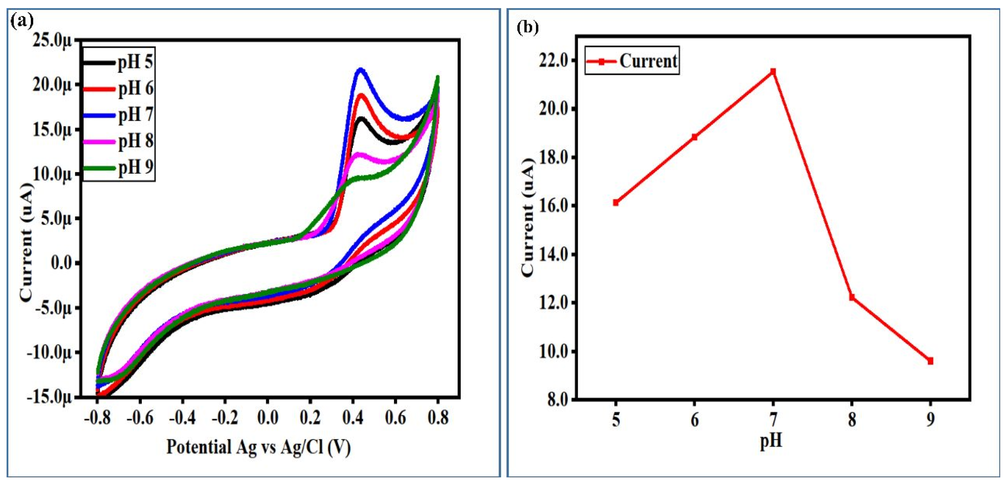 Biosensors 13 00780 g007