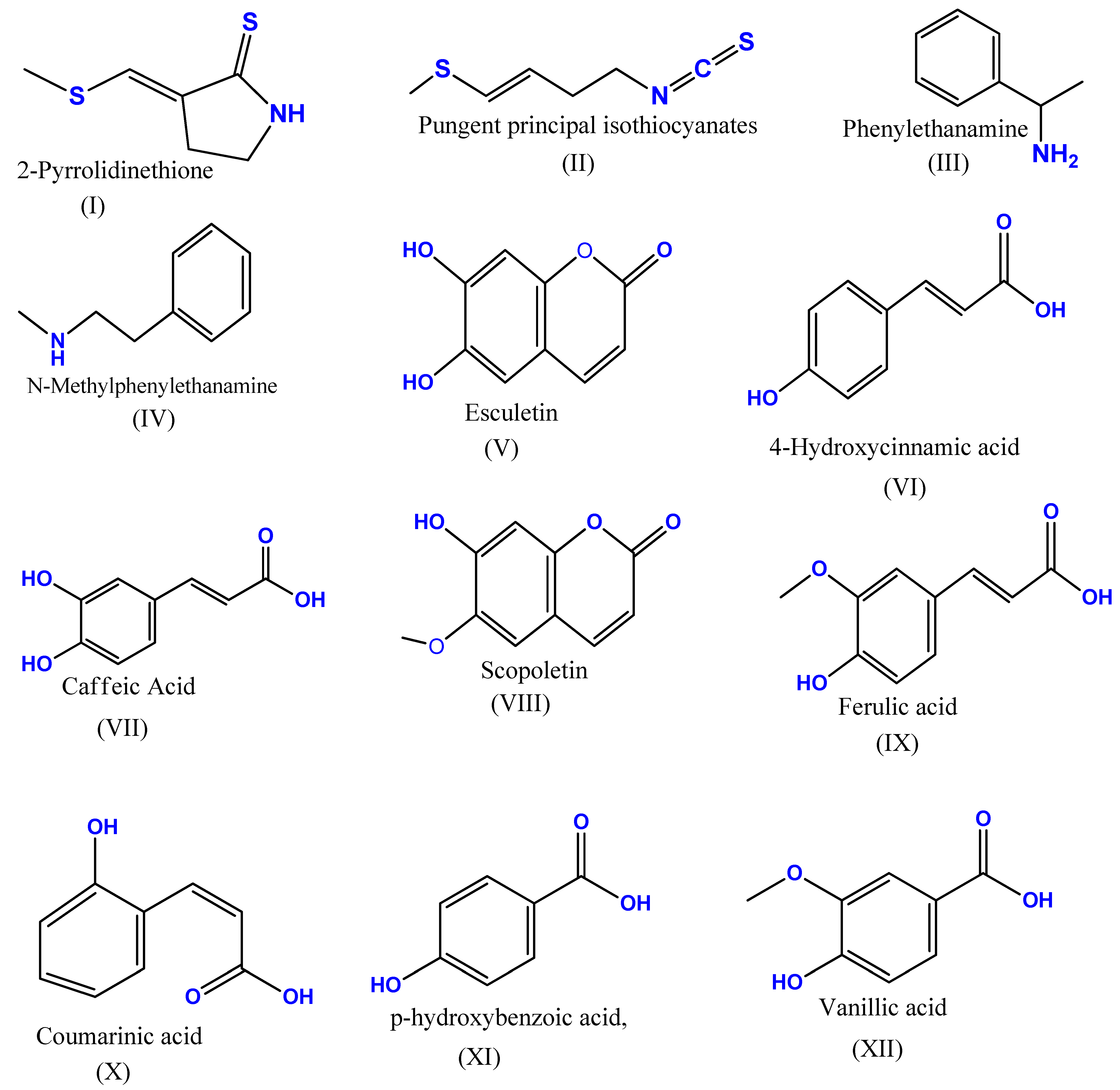 Biosensors 13 00780 sch001
