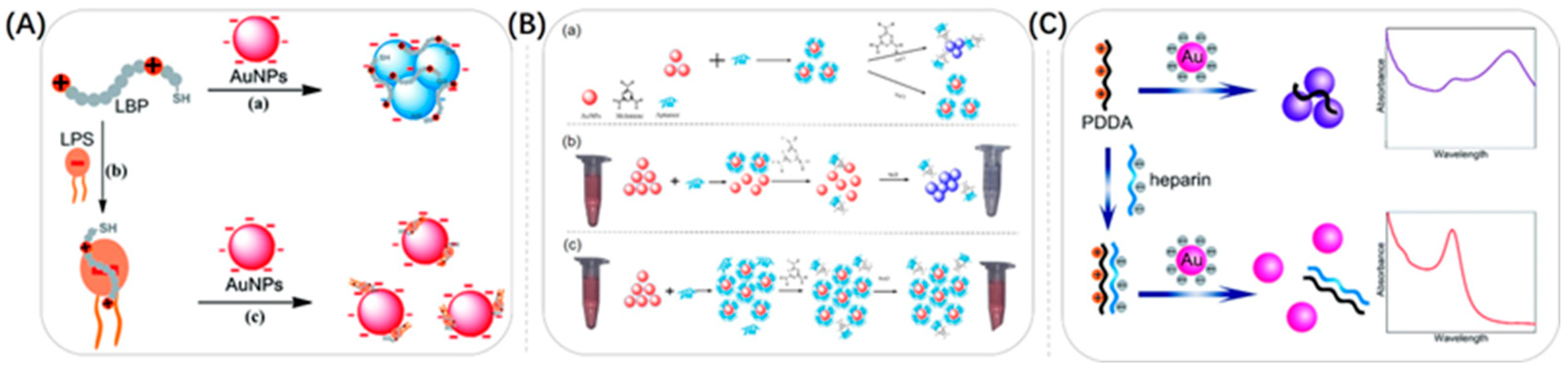 Biosensors 13 00801 g008