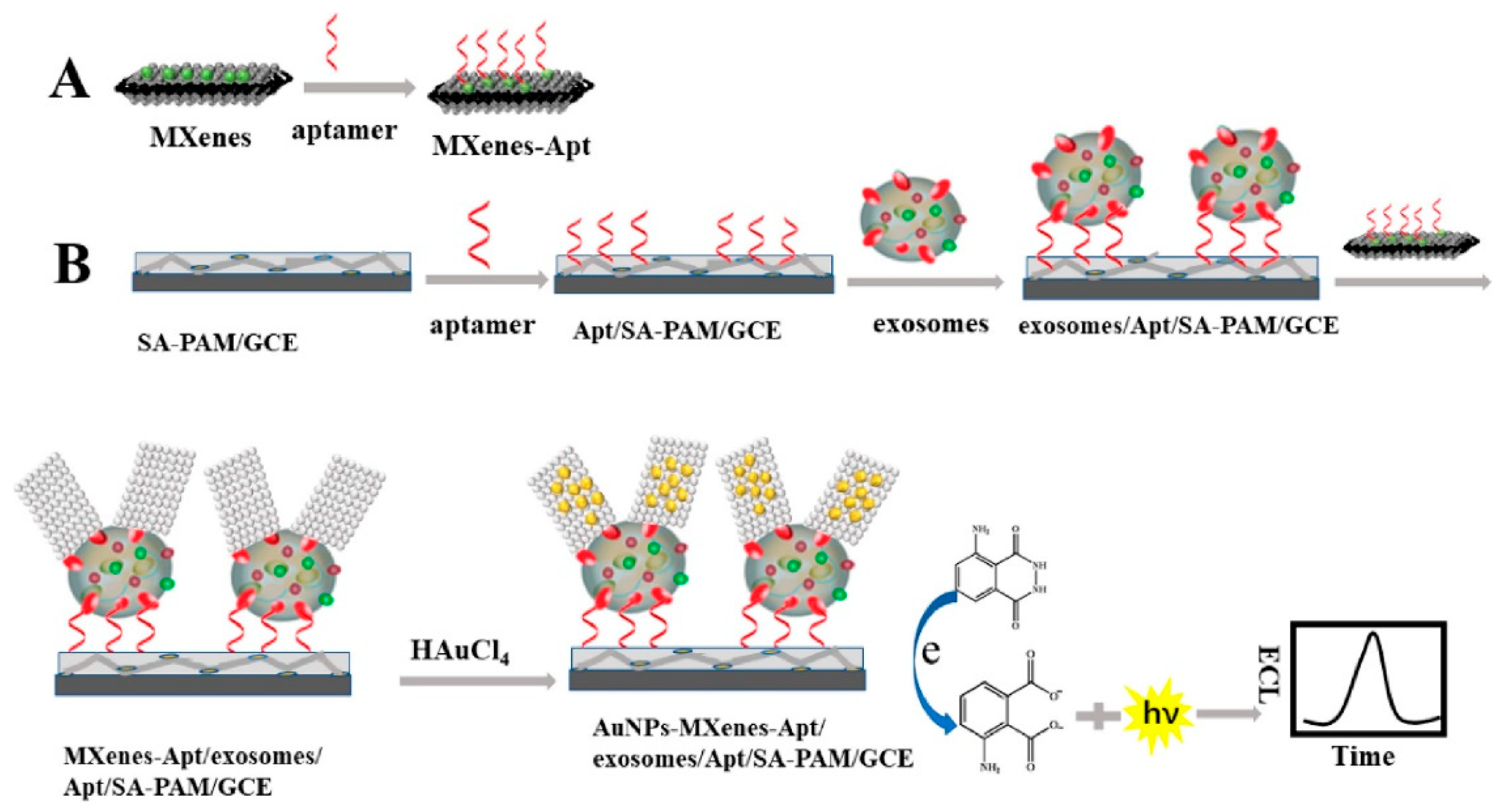 Biosensors 13 00802 g009 Biosensors 13 00802 g009