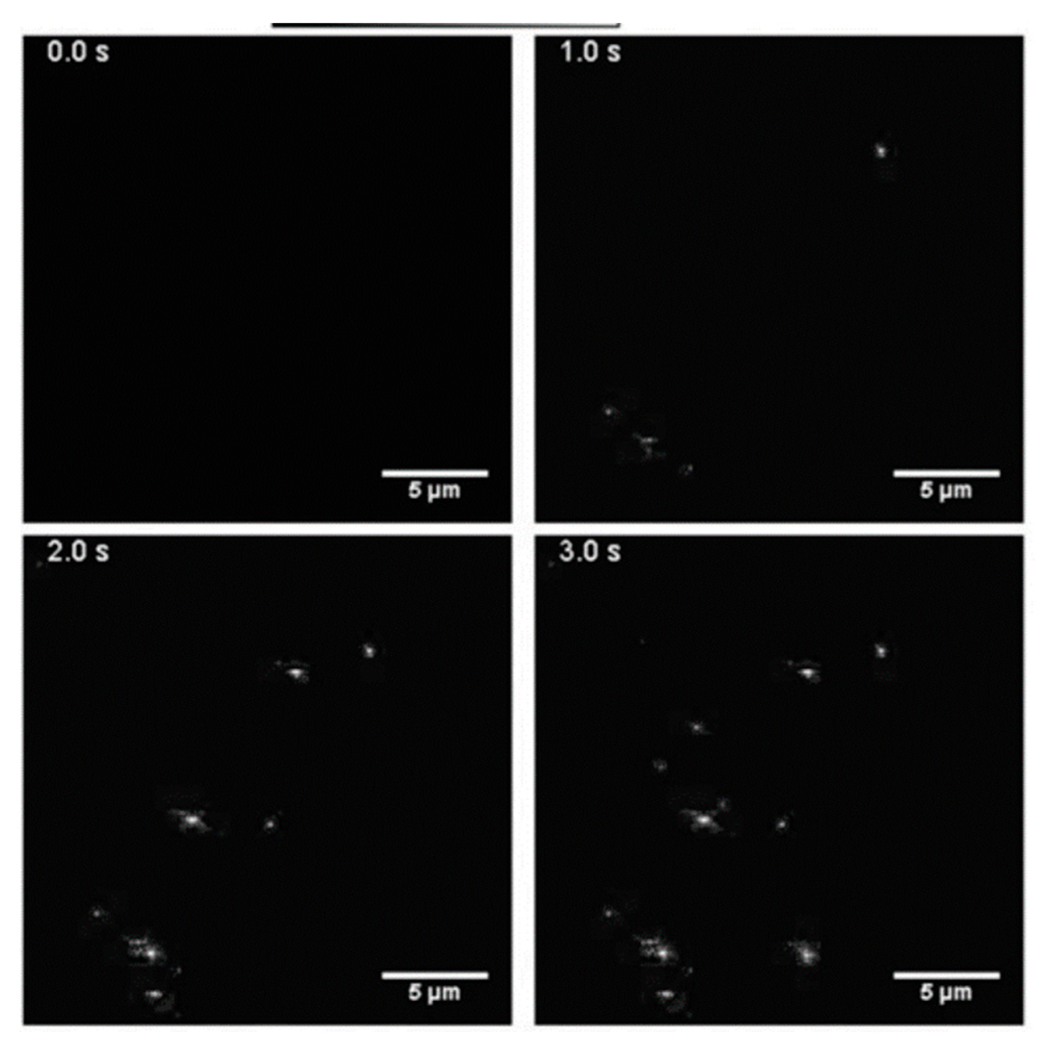 Biosensors 13 00802 g012 Biosensors 13 00802 g012