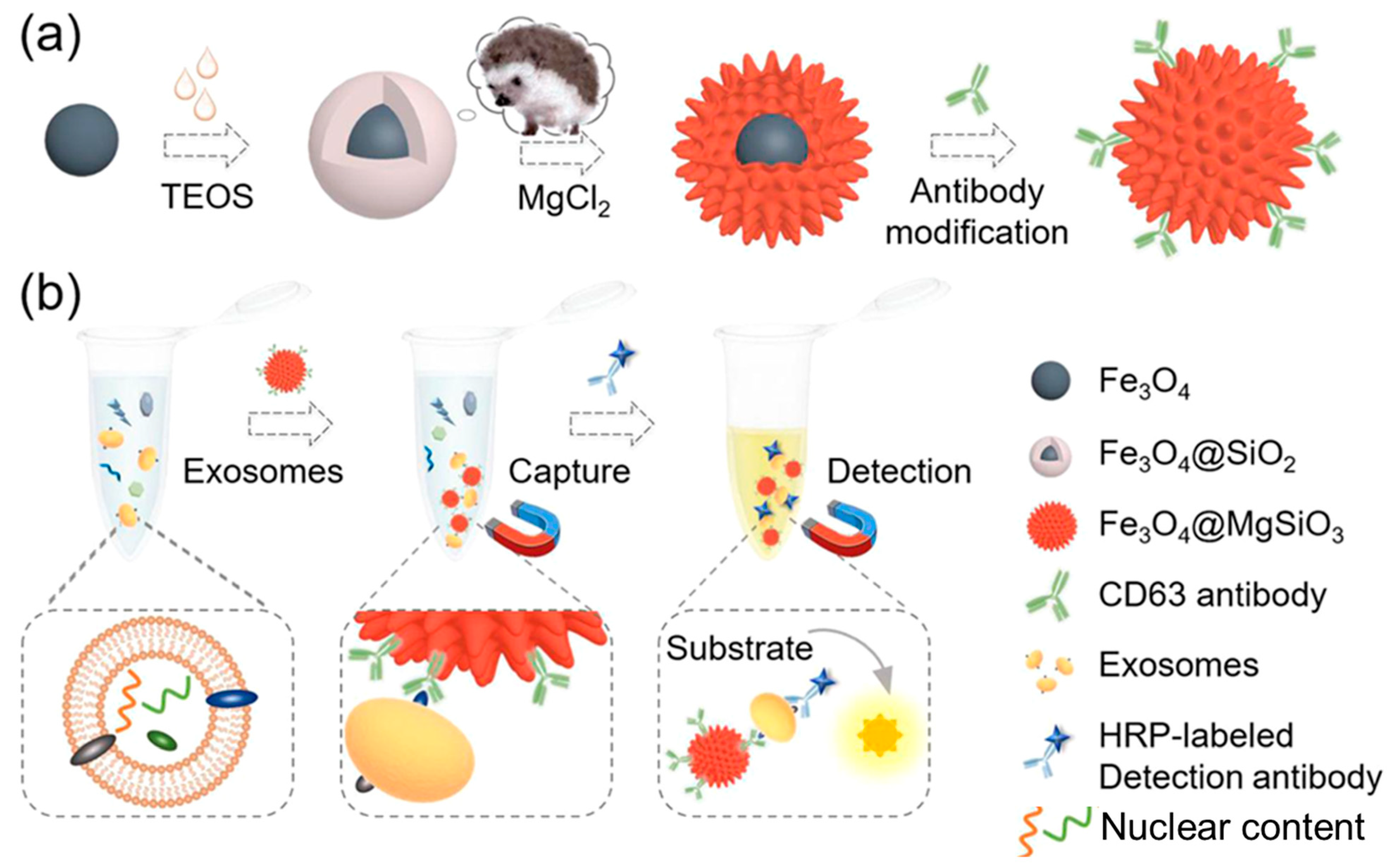 Biosensors 13 00802 g014 Biosensors 13 00802 g014