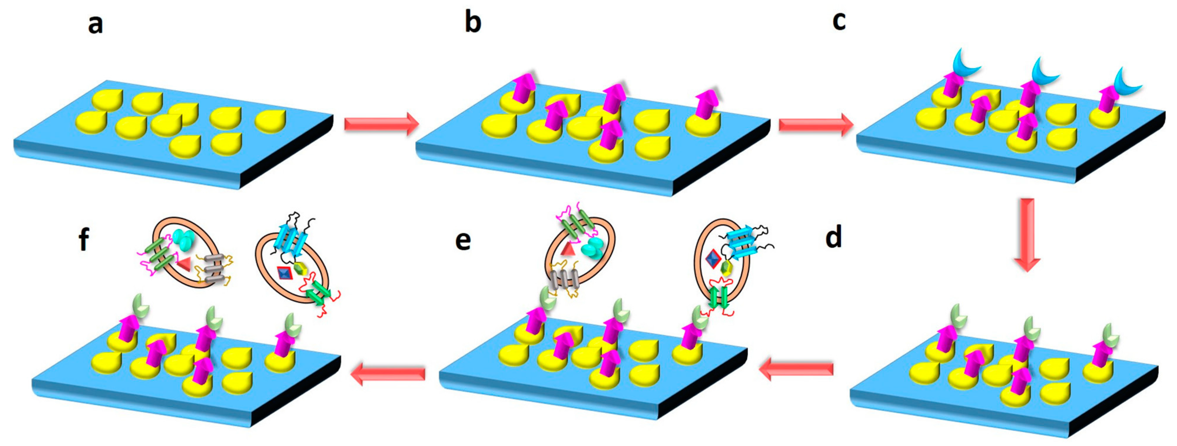 Biosensors 13 00802 g015 Biosensors 13 00802 g015