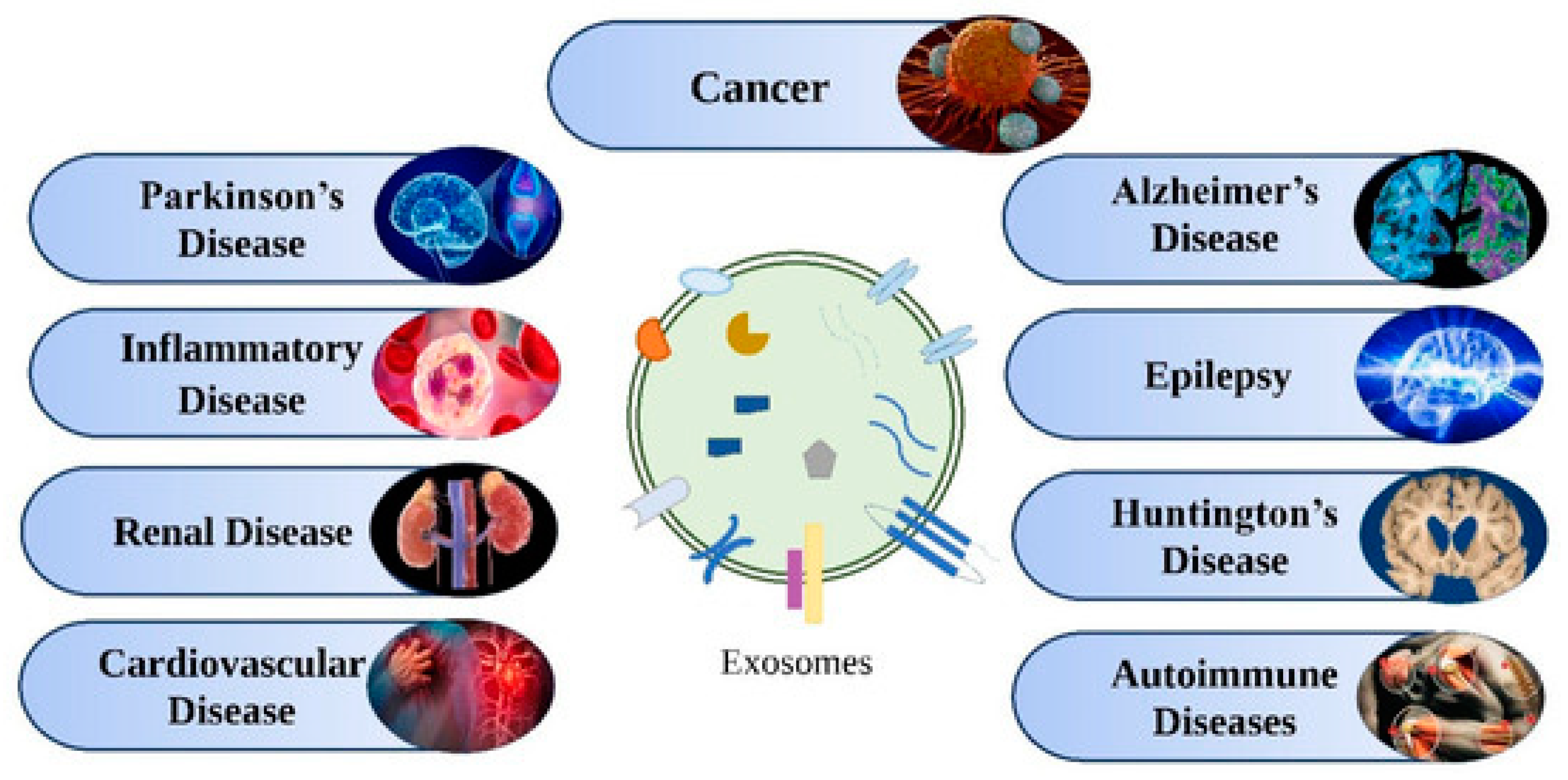 Biosensors 13 00802 g016 Biosensors 13 00802 g016