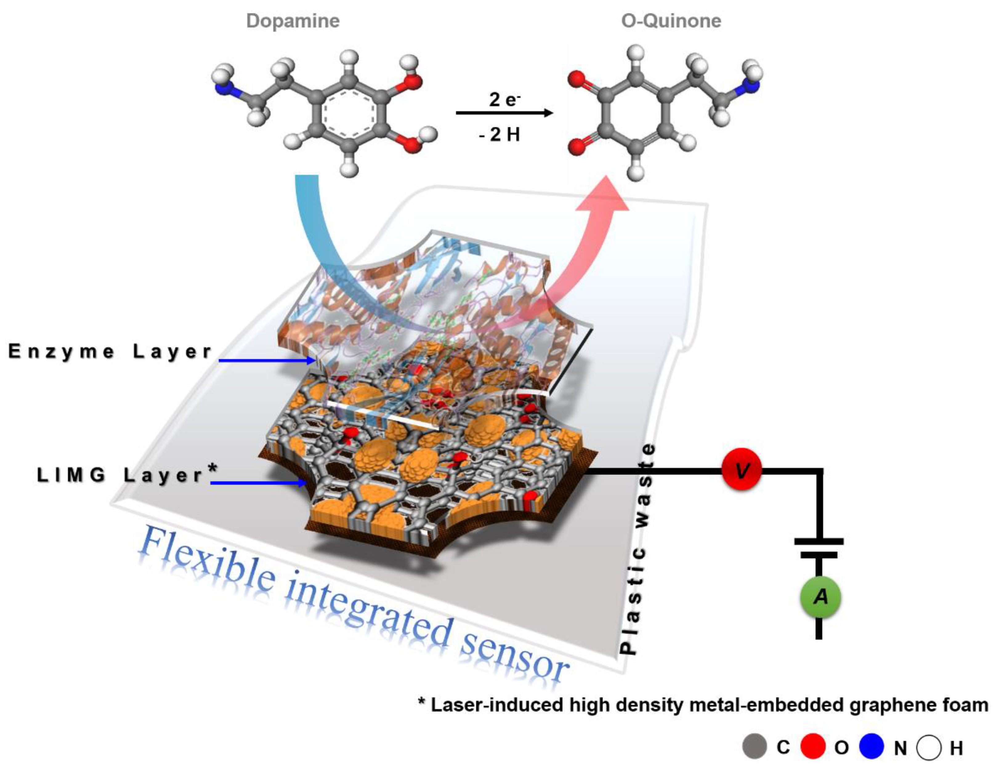 Biosensors 13 00810 g004