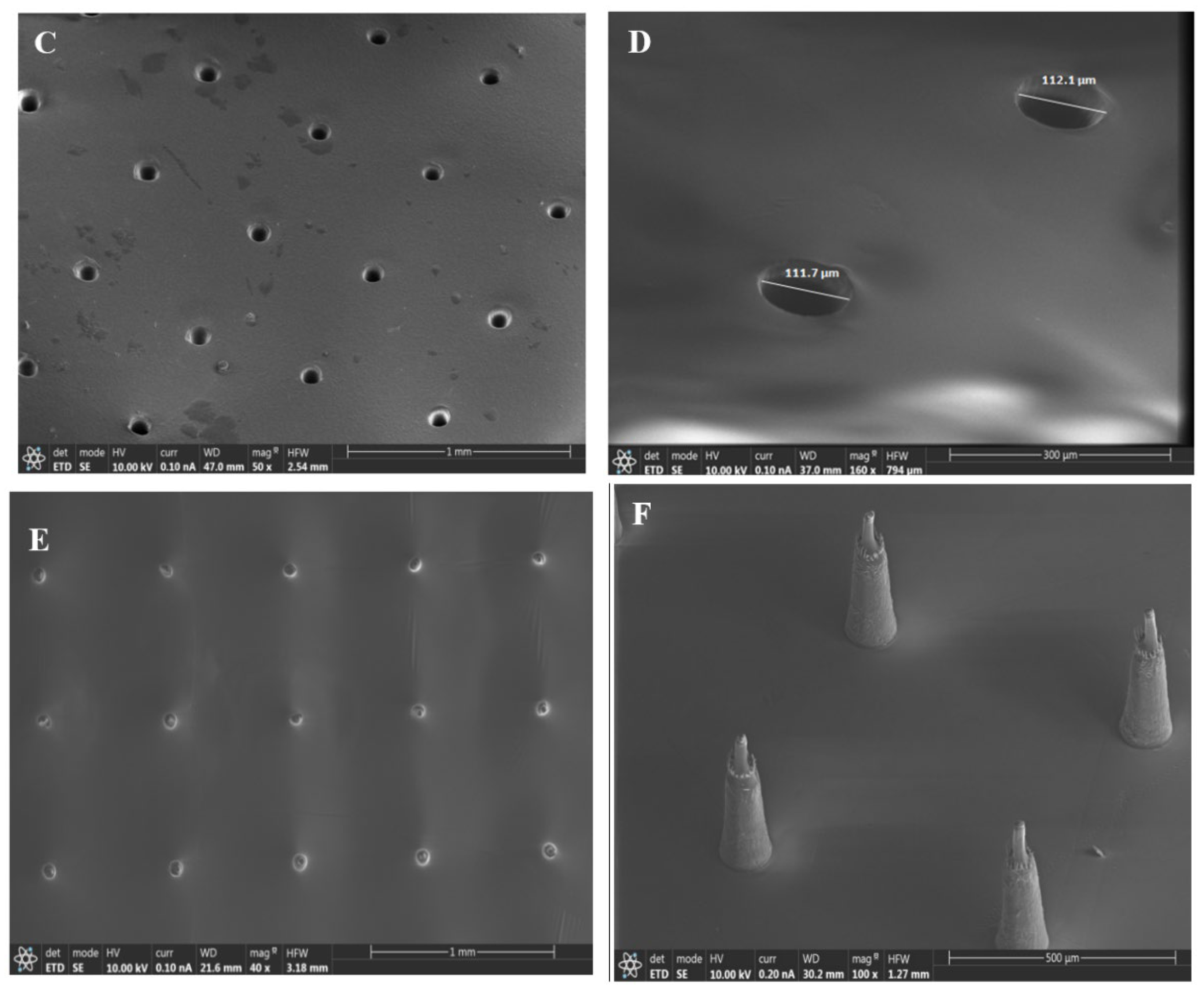 Biosensors 13 00828 g002b