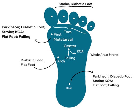 A smart insole system capable of identifying proper heel raise