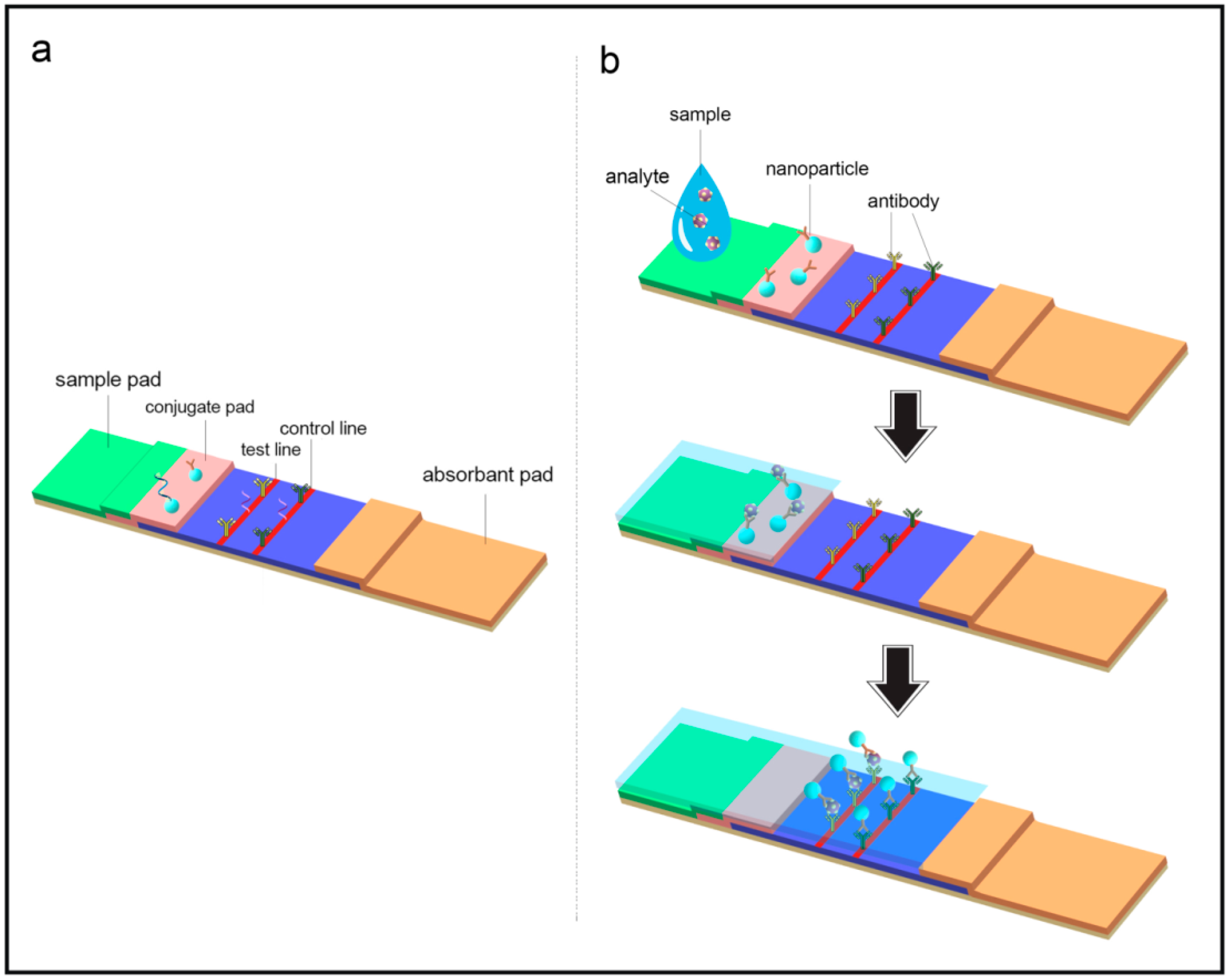 Large-Scale, Quantitative Protein Assays on a High-Throughput DNA  Sequencing Chip - ScienceDirect