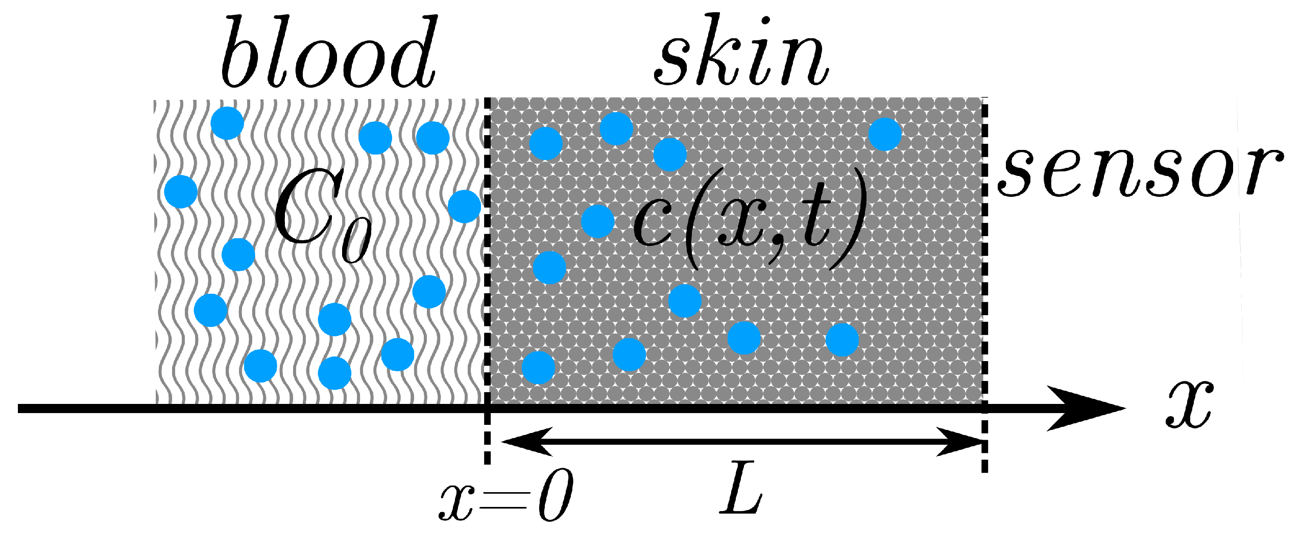 Biosensors 13 00845 g001