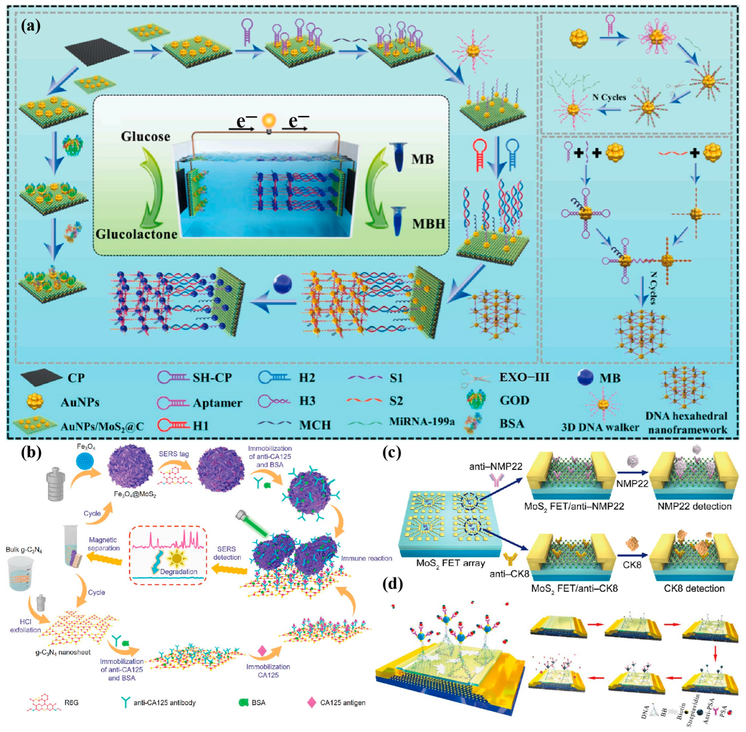 Biosensors 13 00848 g007