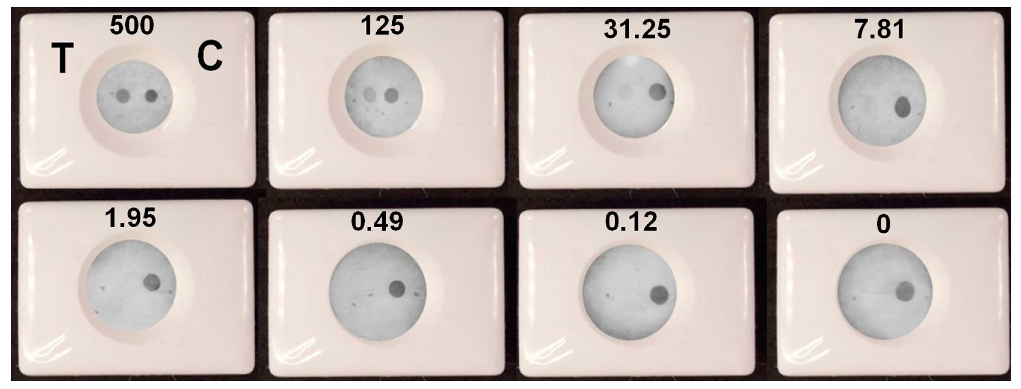 Biosensors 13 00857 g010 Biosensors 13 00857 g010