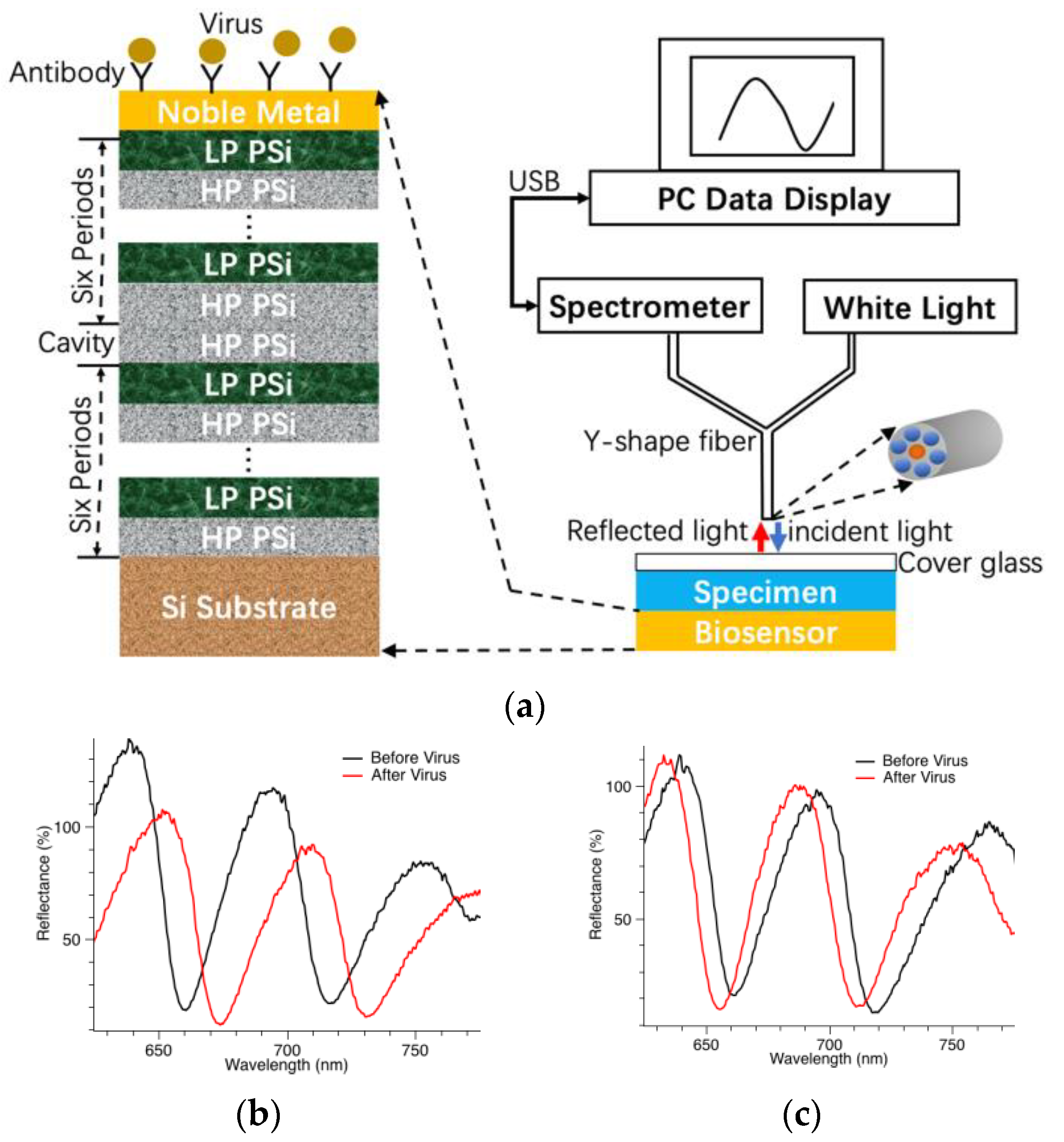 Biosensors 13 00860 g001