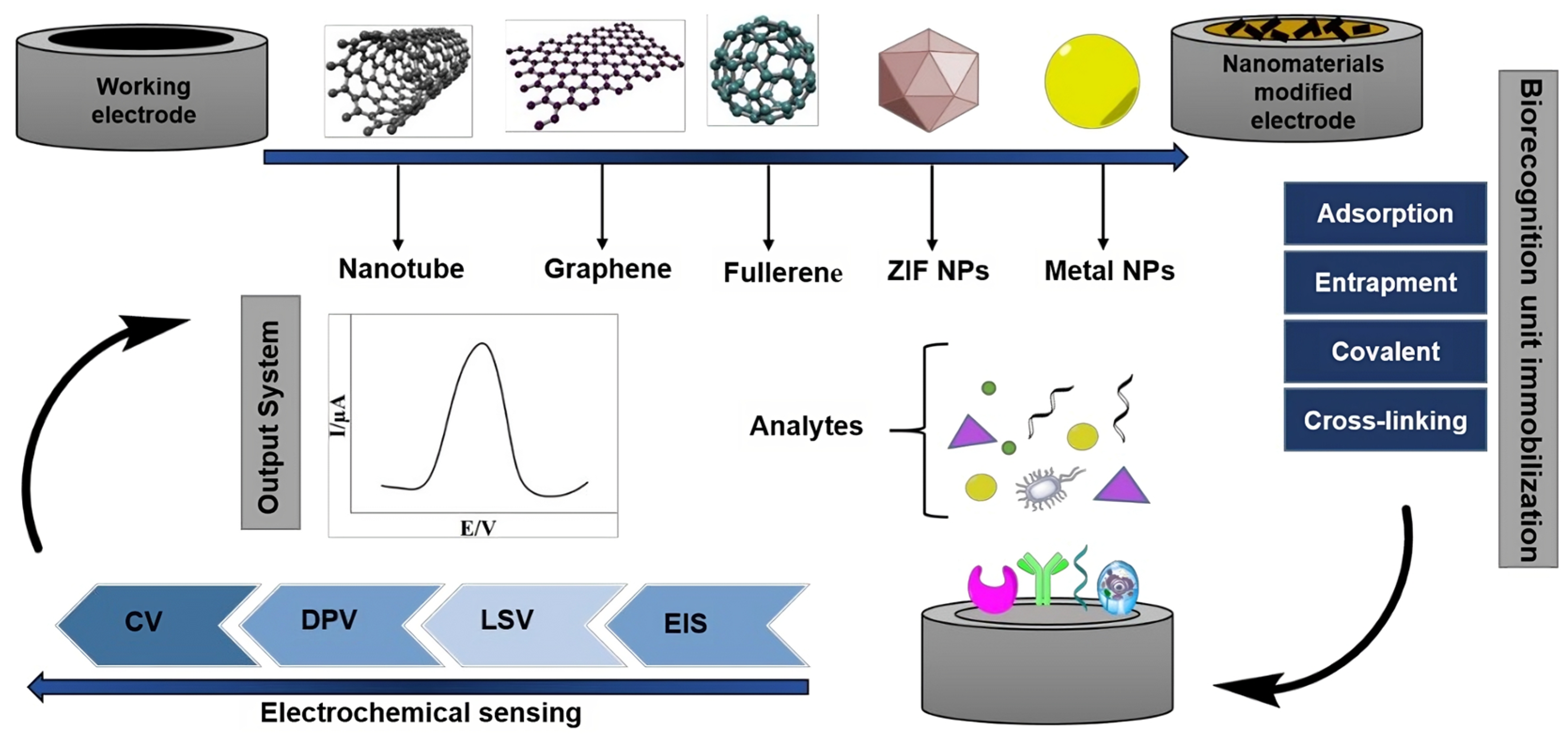 Biosensors 13 00882 g002 Biosensors 13 00882 g002
