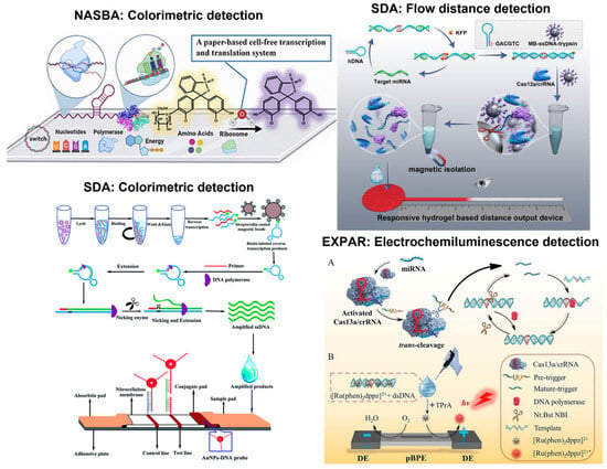 Nucleic Acid Sequence-Based Amplification, a New Method for Analysis of  Spliced and Unspliced Epstein-Barr Virus Latent Transcripts, and Its  Comparison with Reverse Transcriptase PCR