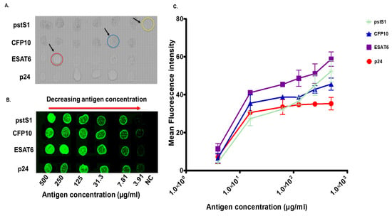 Development of a Multiplex Glycan Microarray Assay and Comparative