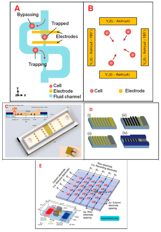 Biosensors | Free Full-Text | Electrical Characterization and