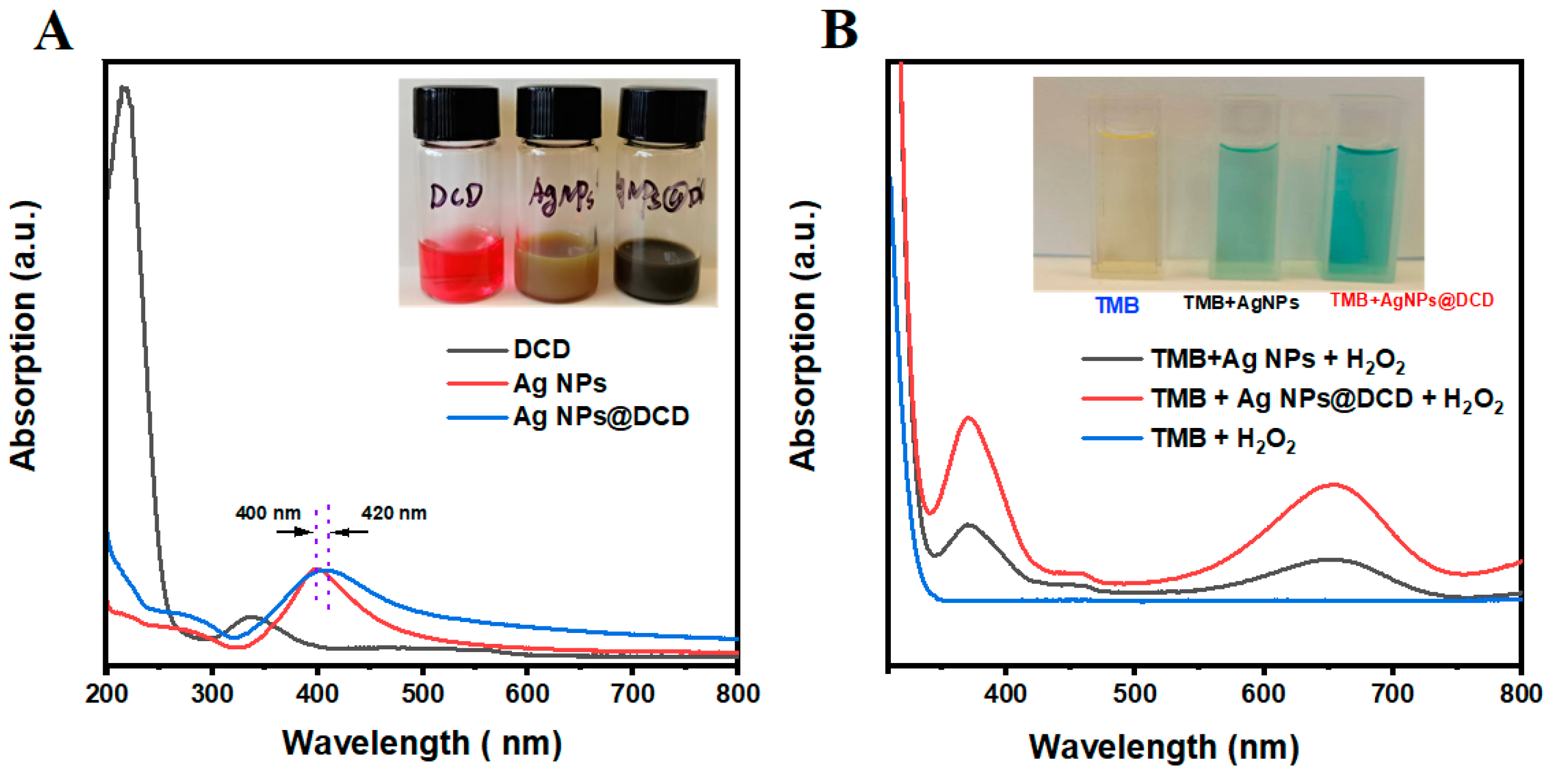 Biosensors 13 00927 g003