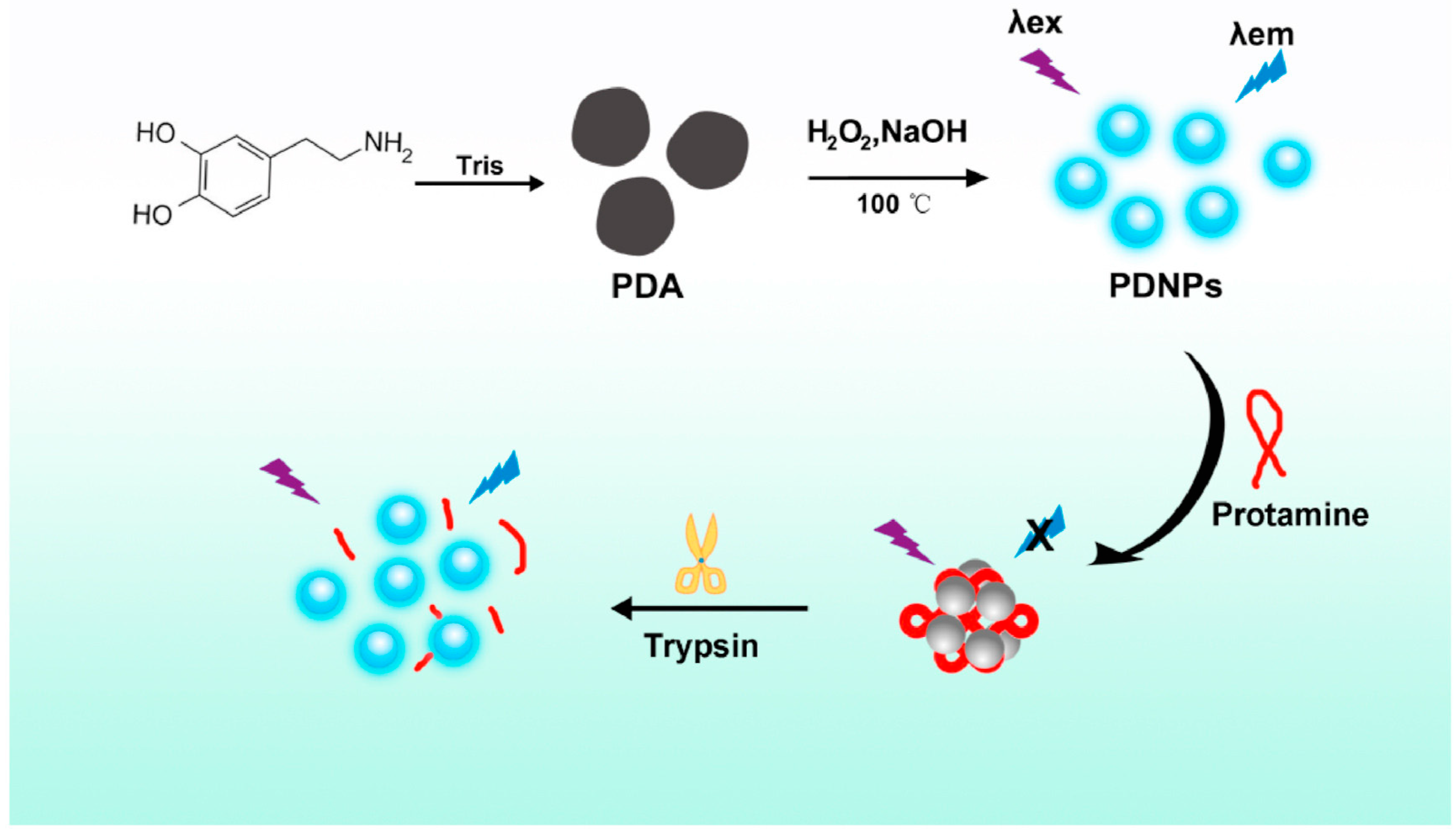 Biosensors 13 00956 g002