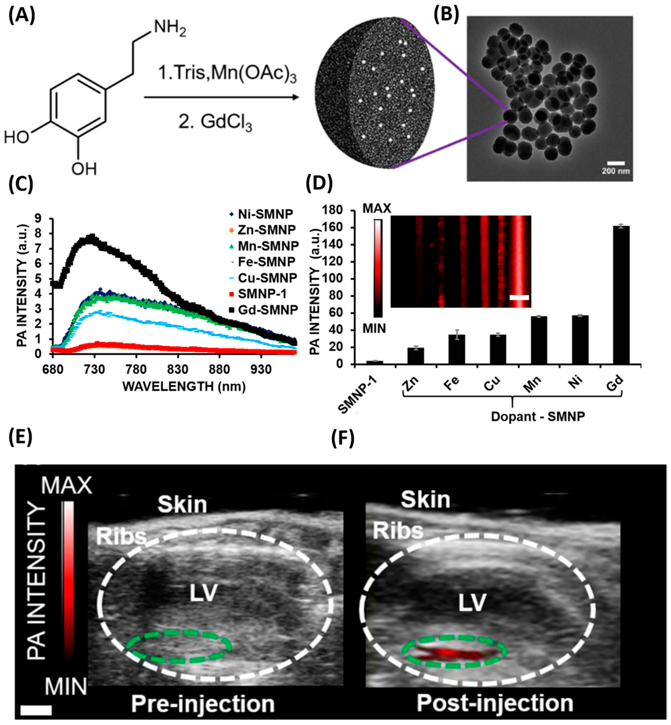 Biosensors 13 00956 g004