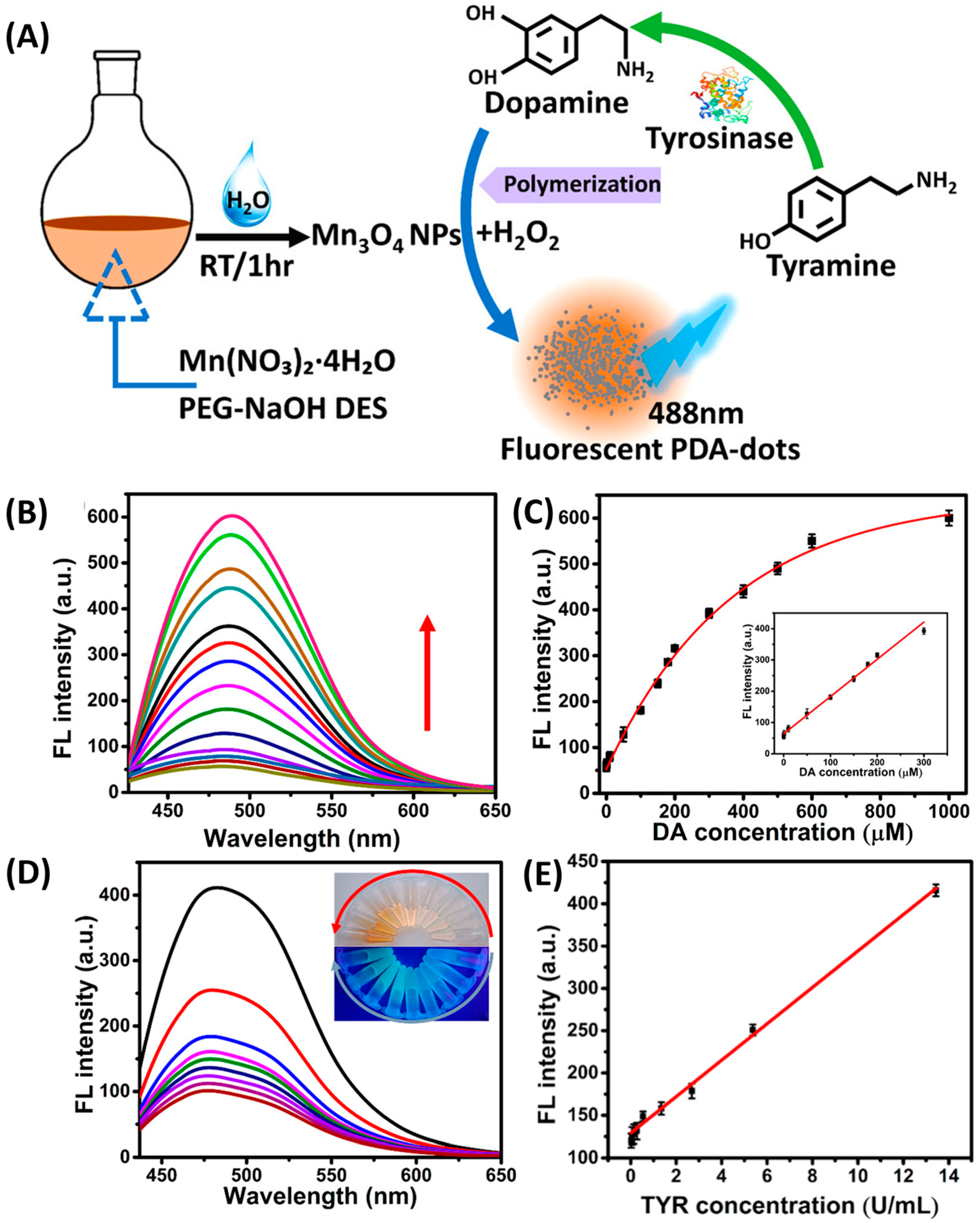 Biosensors 13 00956 g006
