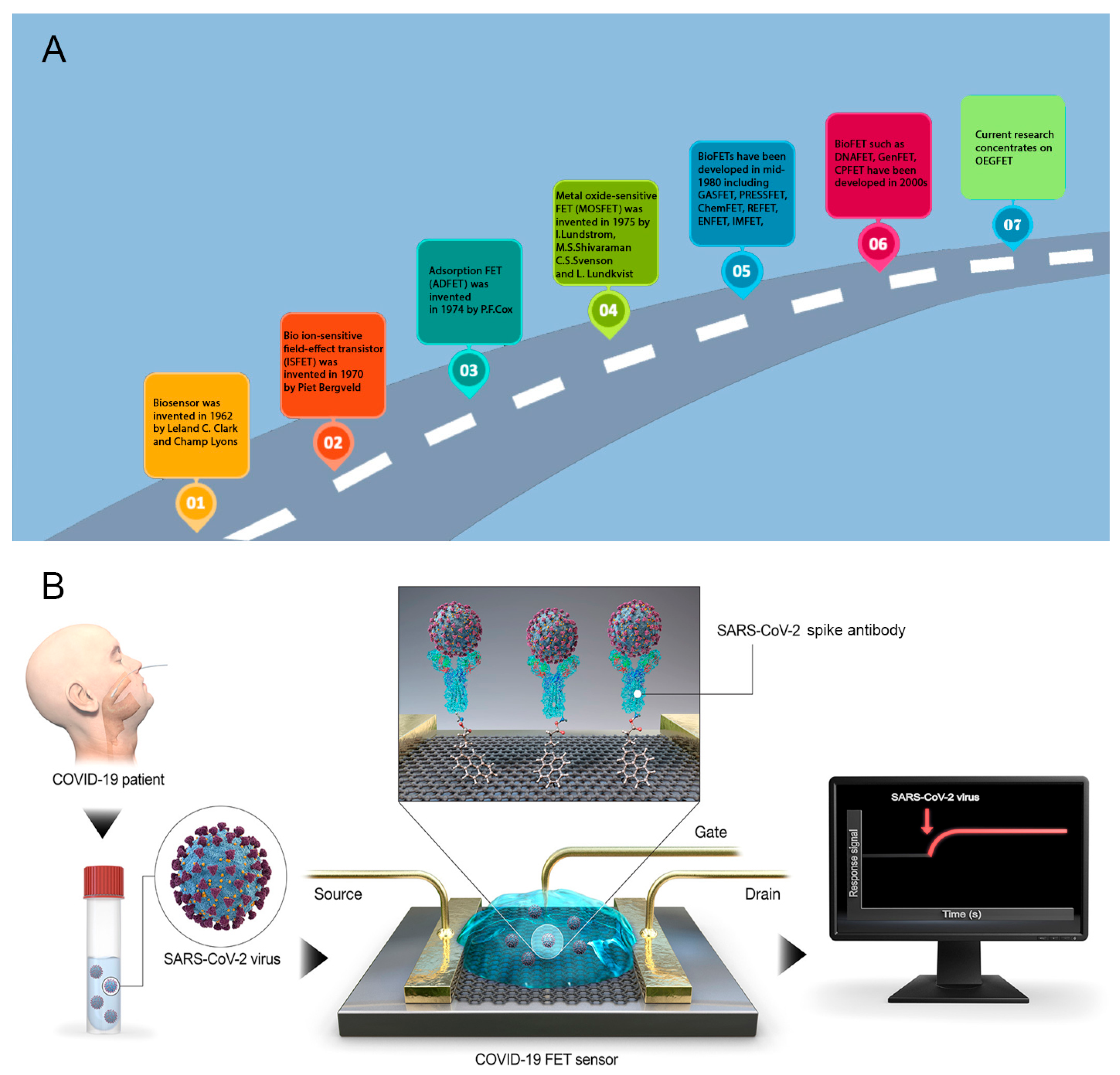 PDF) Unlocking the Potential of Field Effect Transistor (FET) Biosensors: A  Perspective on Methodological Advances in Computational and Molecular  Biology