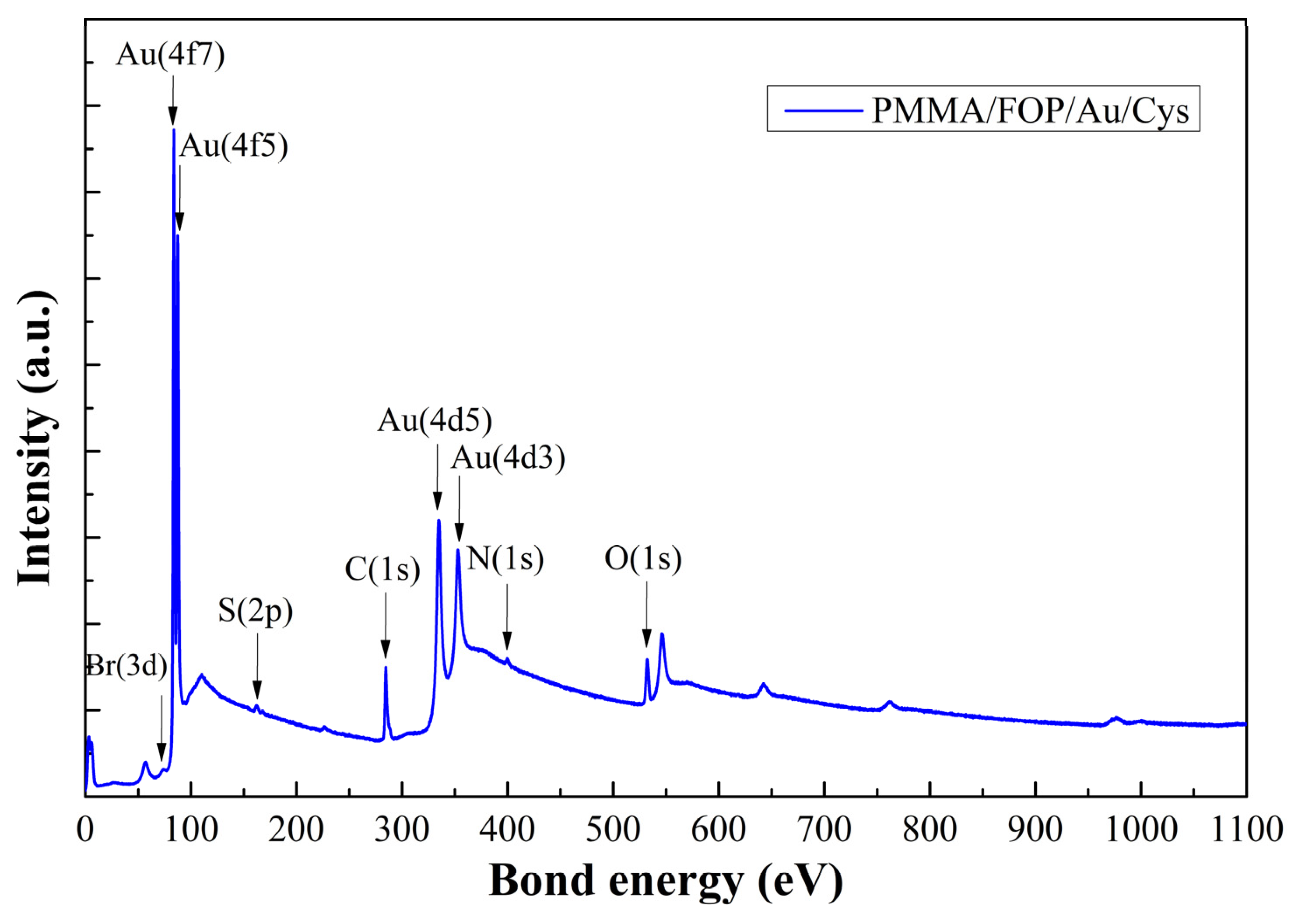 Biosensors 13 00994 g008