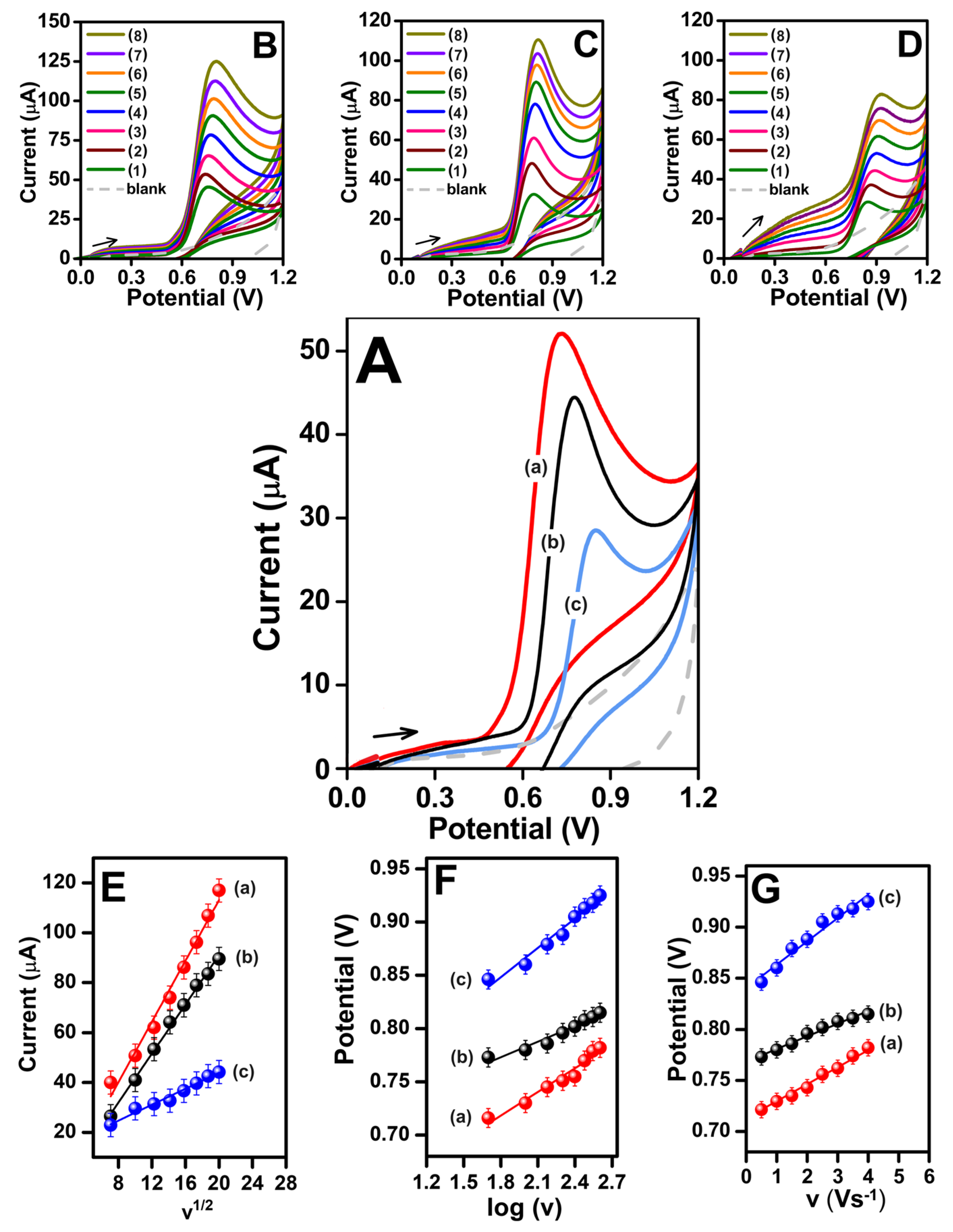 Biosensors 13 00997 g005