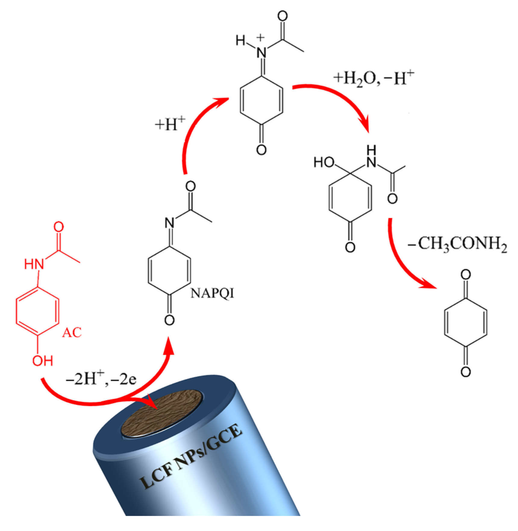 Biosensors 13 00997 sch001