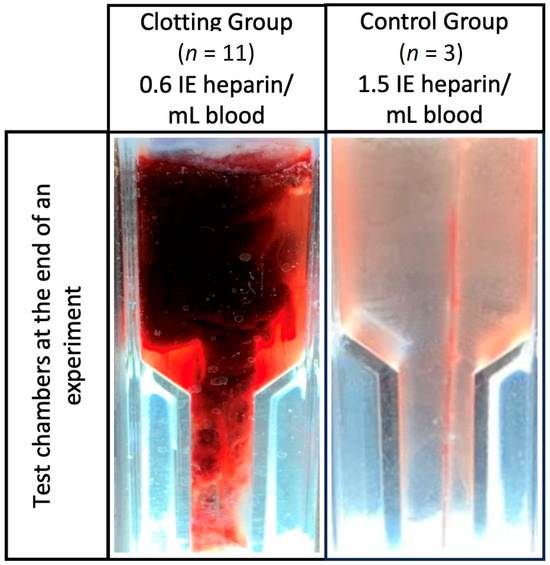 Fake Blood, dark thick clotting 50 ml