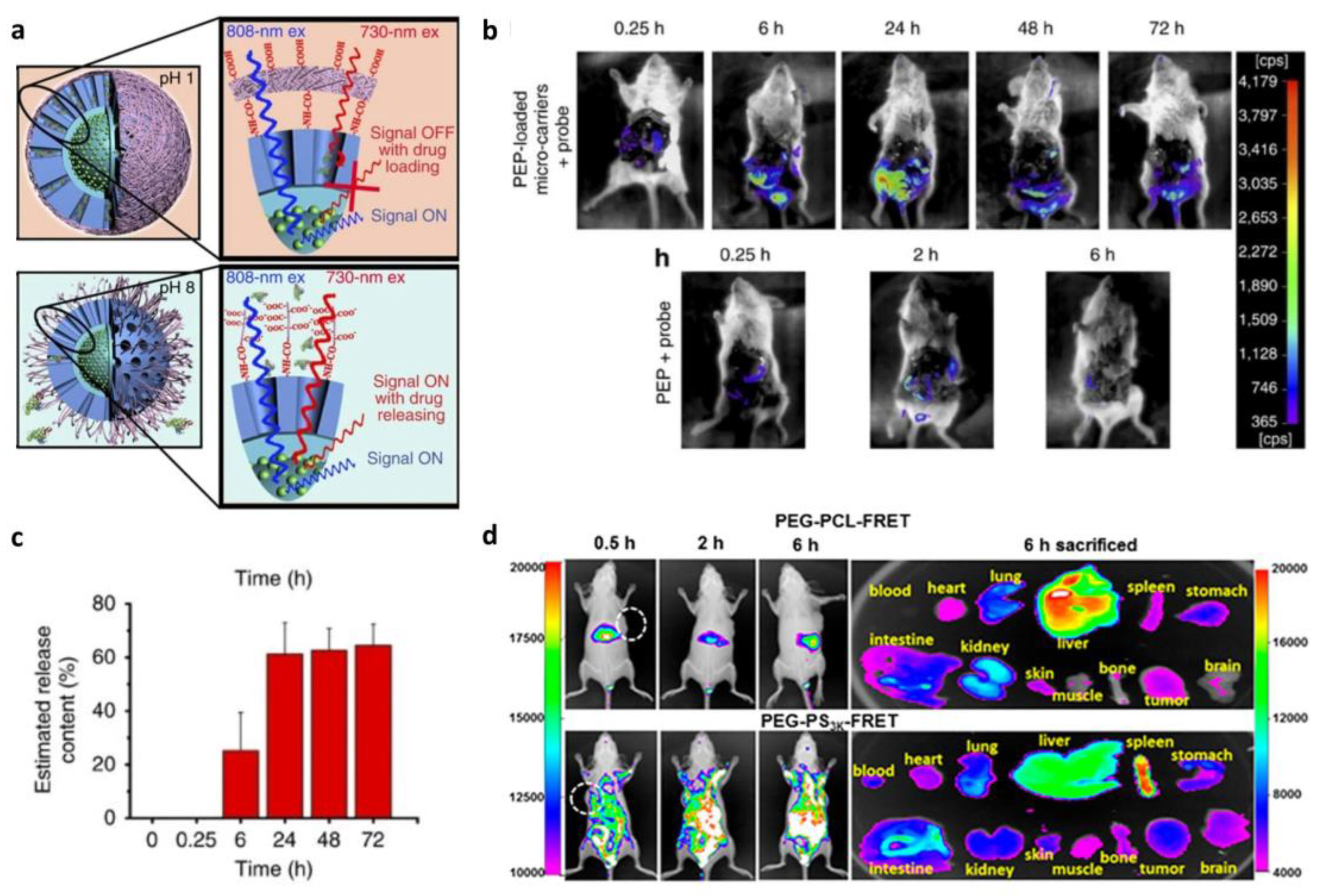 Biosensors 13 01017 g005