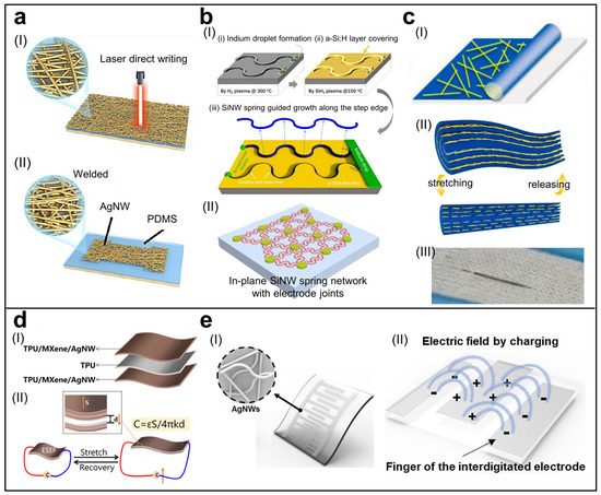 Biosensors | Free Full-Text | Recent Advances in Nanowire-Based 