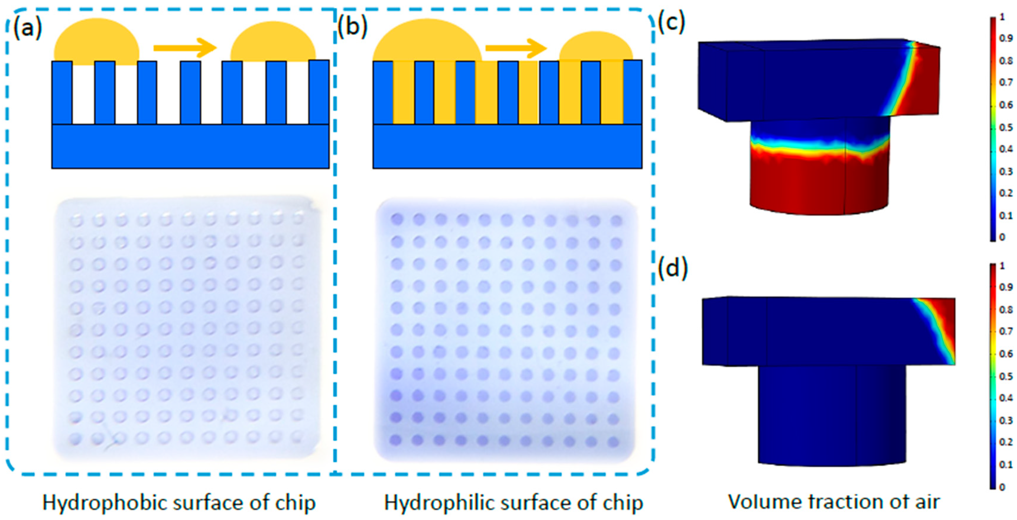 Biosensors 13 01028 g002