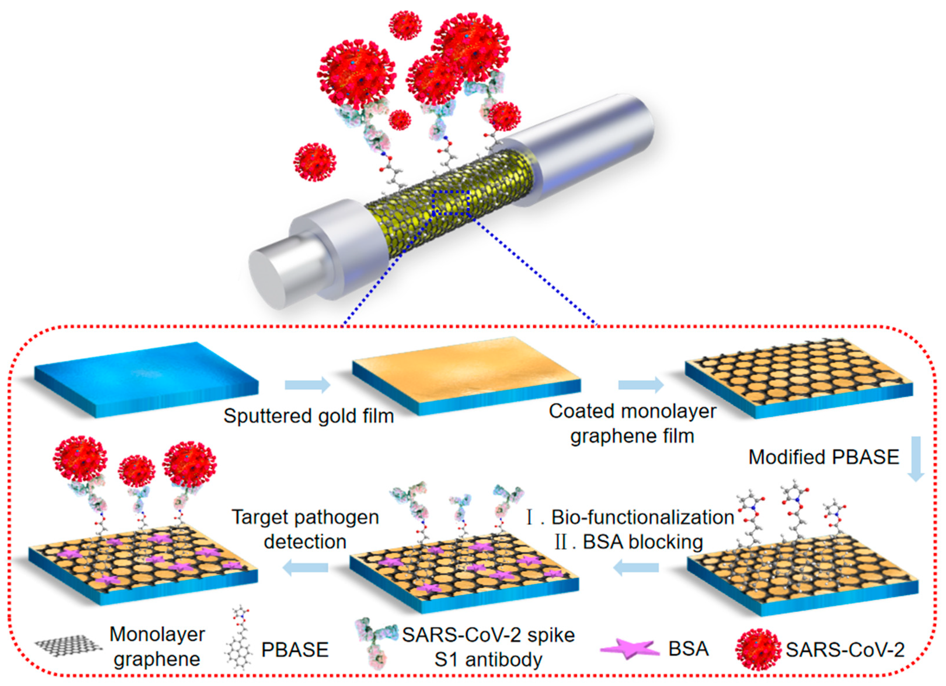 Biosensors 13 01029 g001