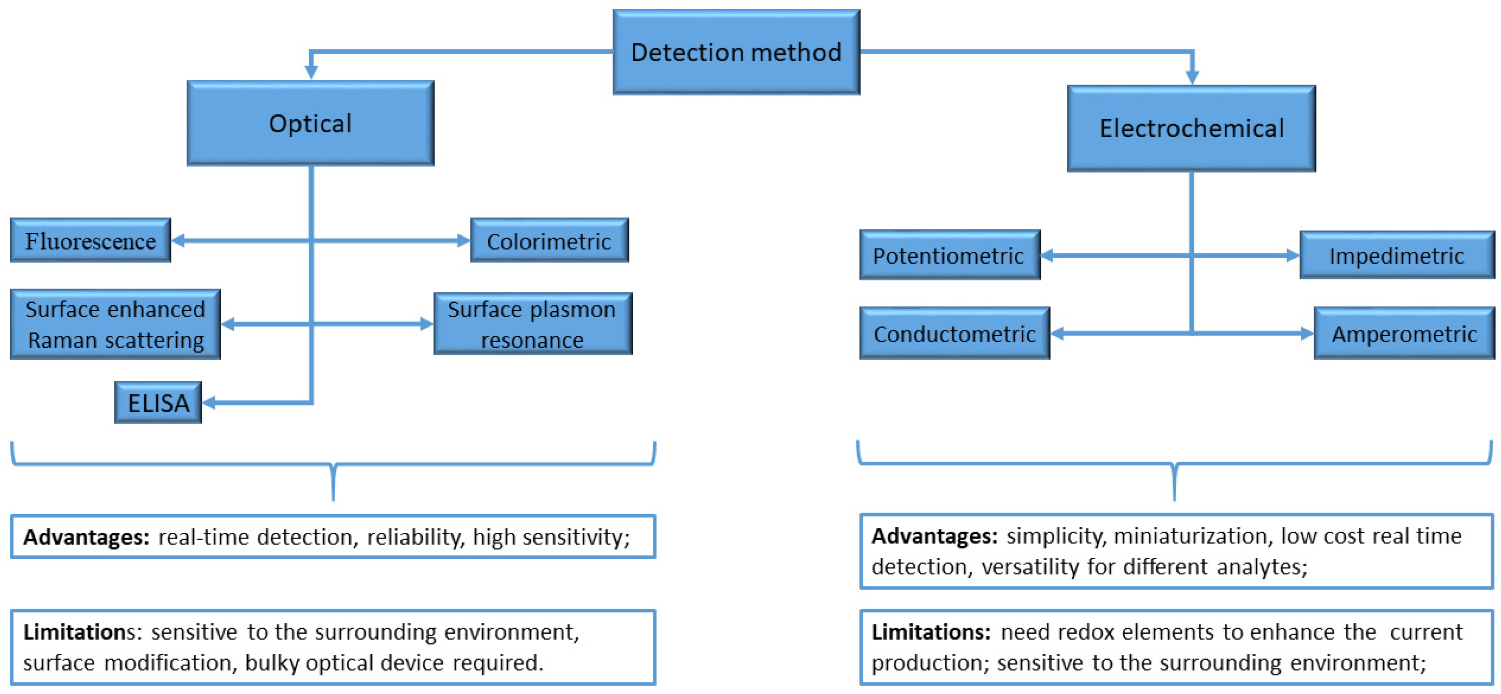 Biosensors 13 01031 g001