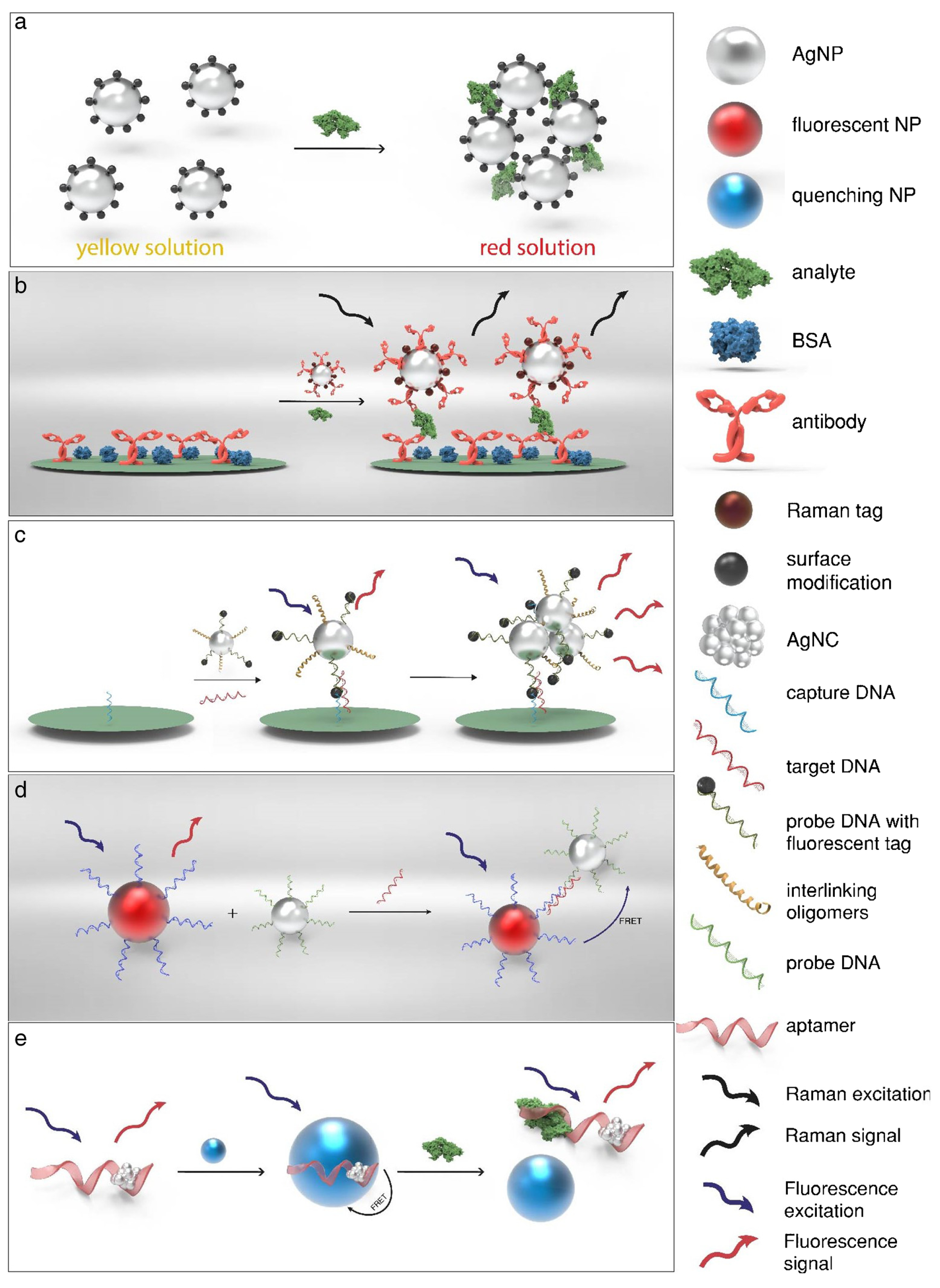 Biosensors 13 01031 g004