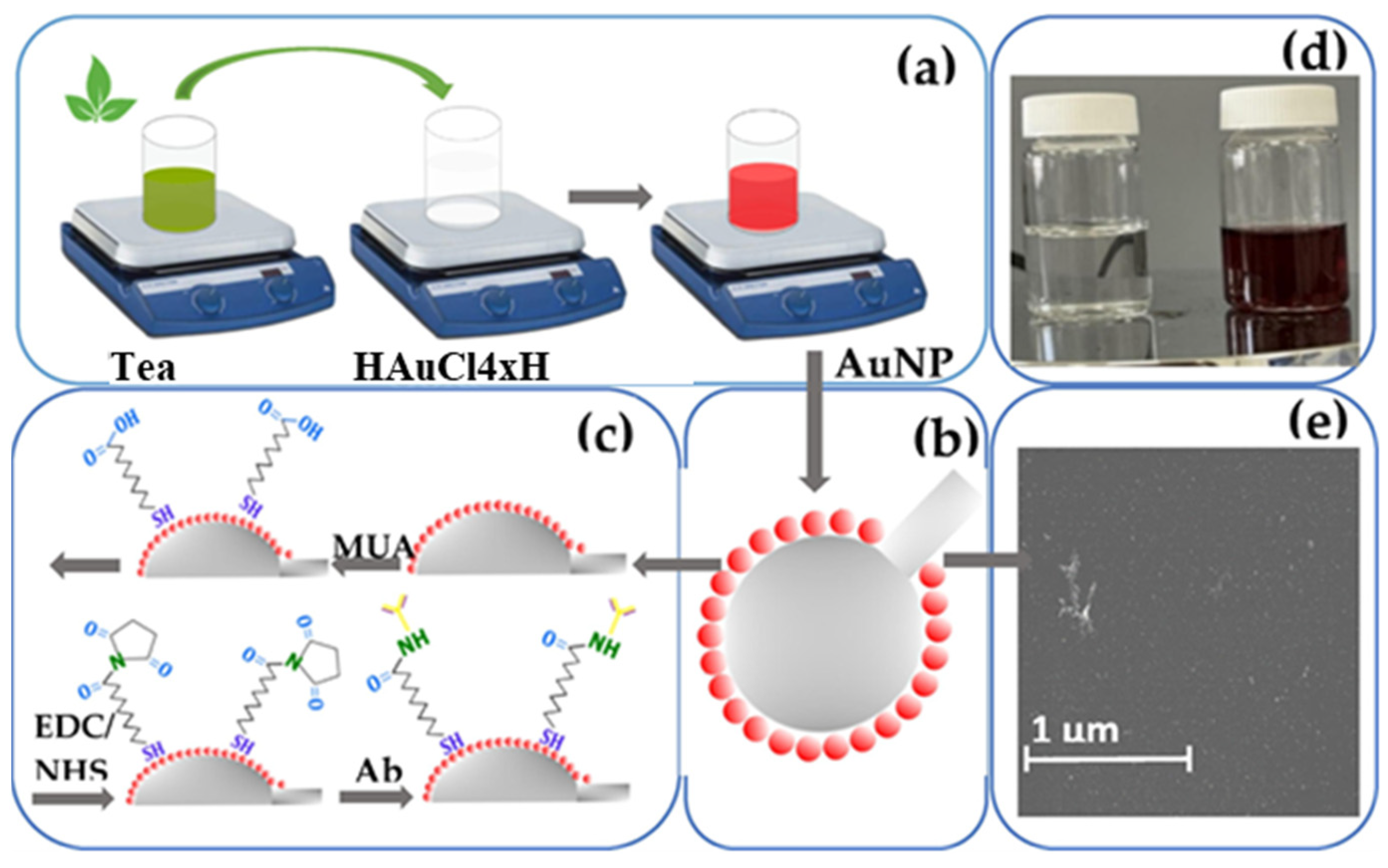 Biosensors 13 01031 g005