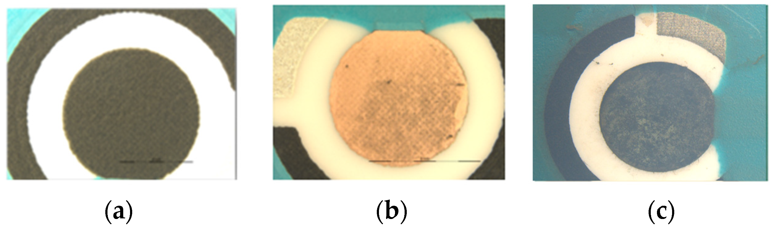 Biosensors 13 01032 g001